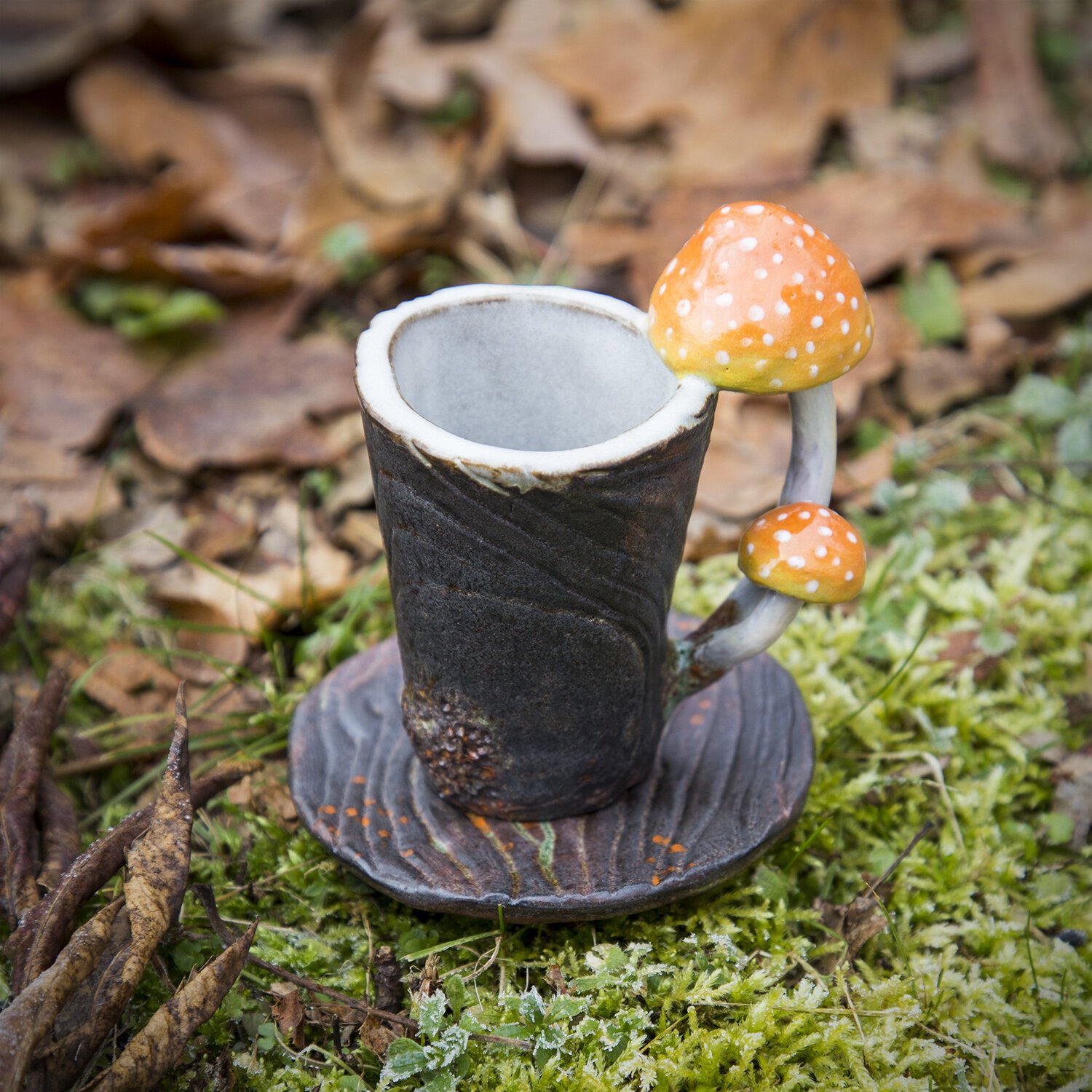 Amanita Vessel, Autumn Season 2019