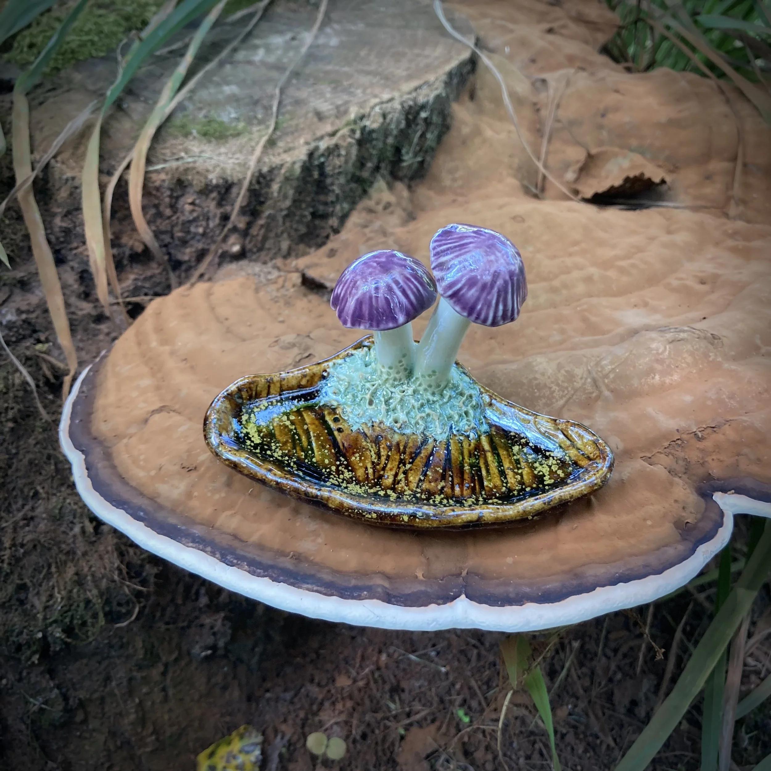 Mushroom Reliquary II, Summer 2024