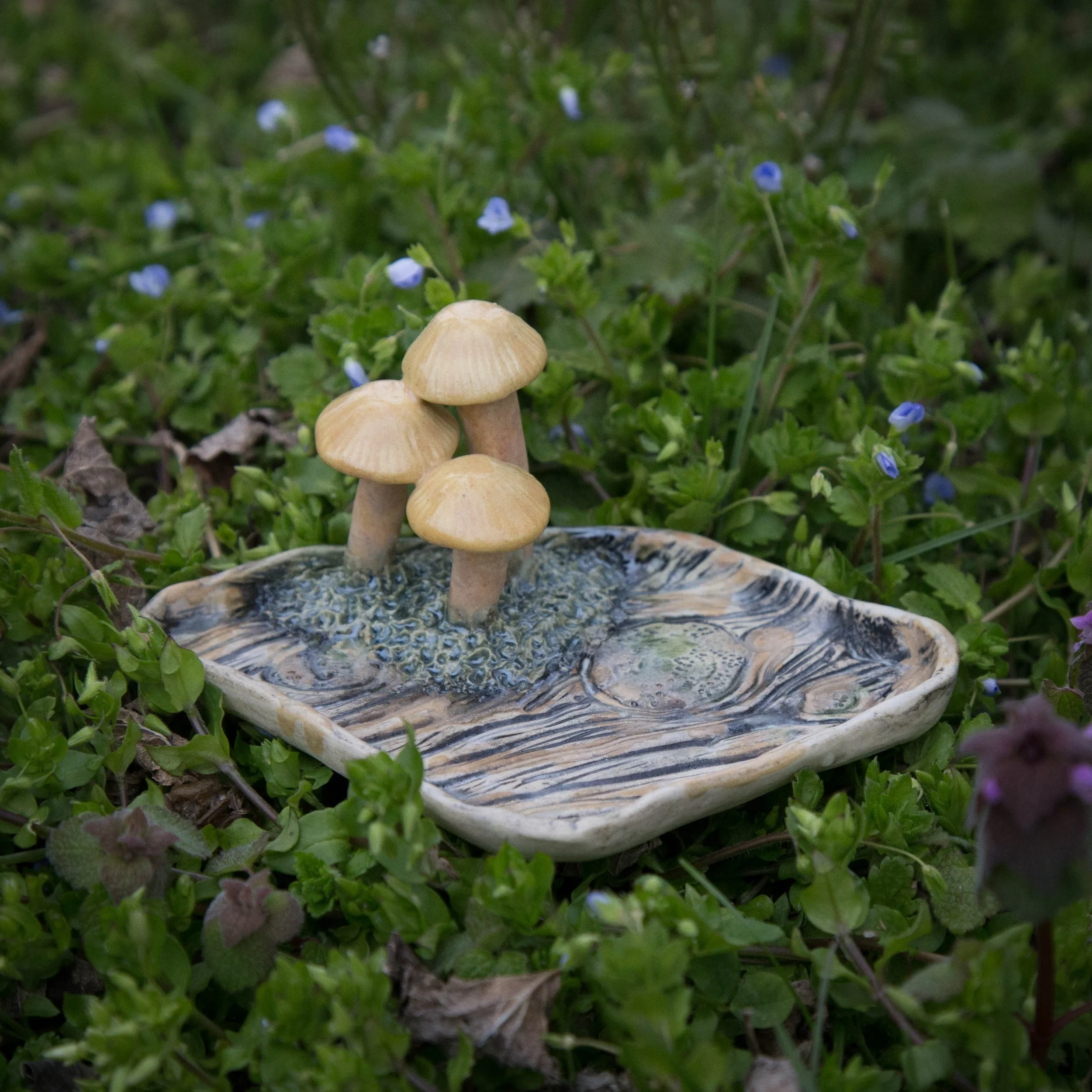 Mushroom Reliquary I, Spring Season 2024