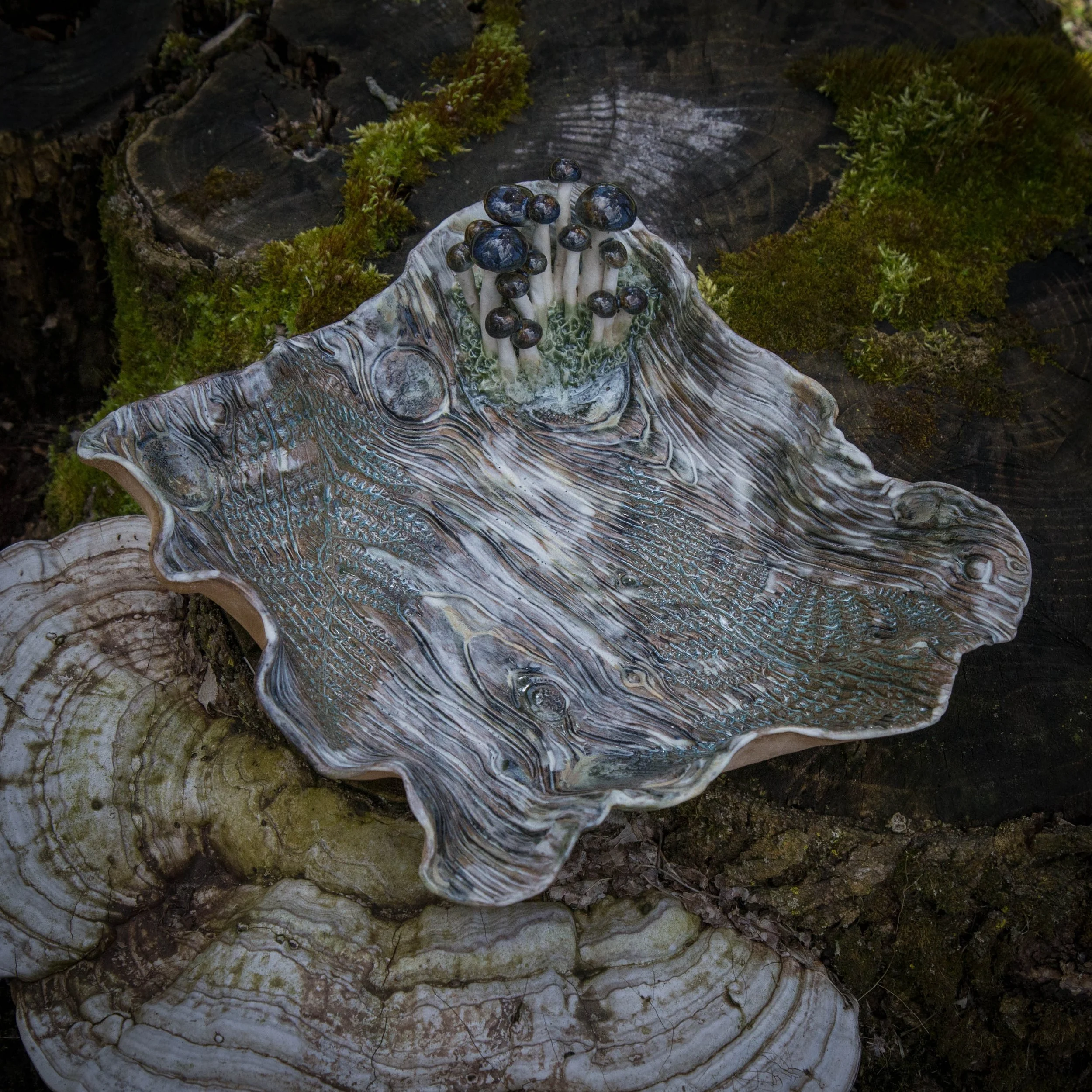 Blue Birch Terrain, Spring Season 2024