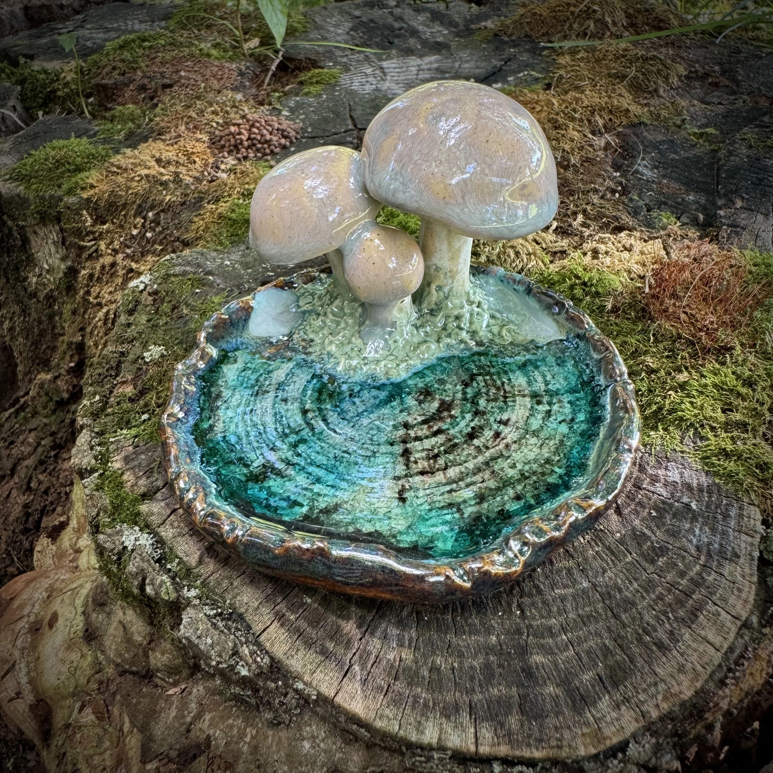 Mushroom Reliquary II, Summer 2025