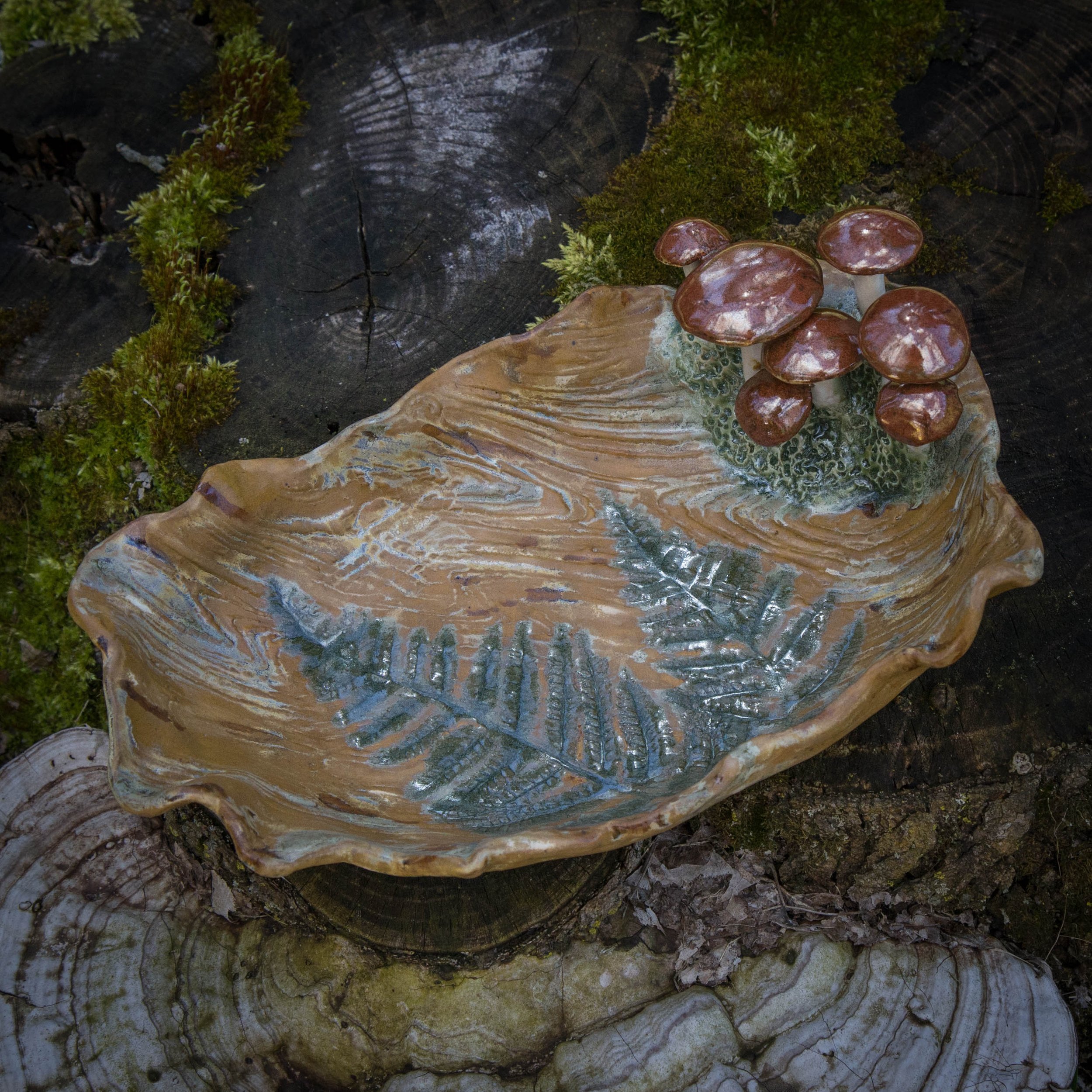  Chestnut Fern Terrain, Spring Season 2024