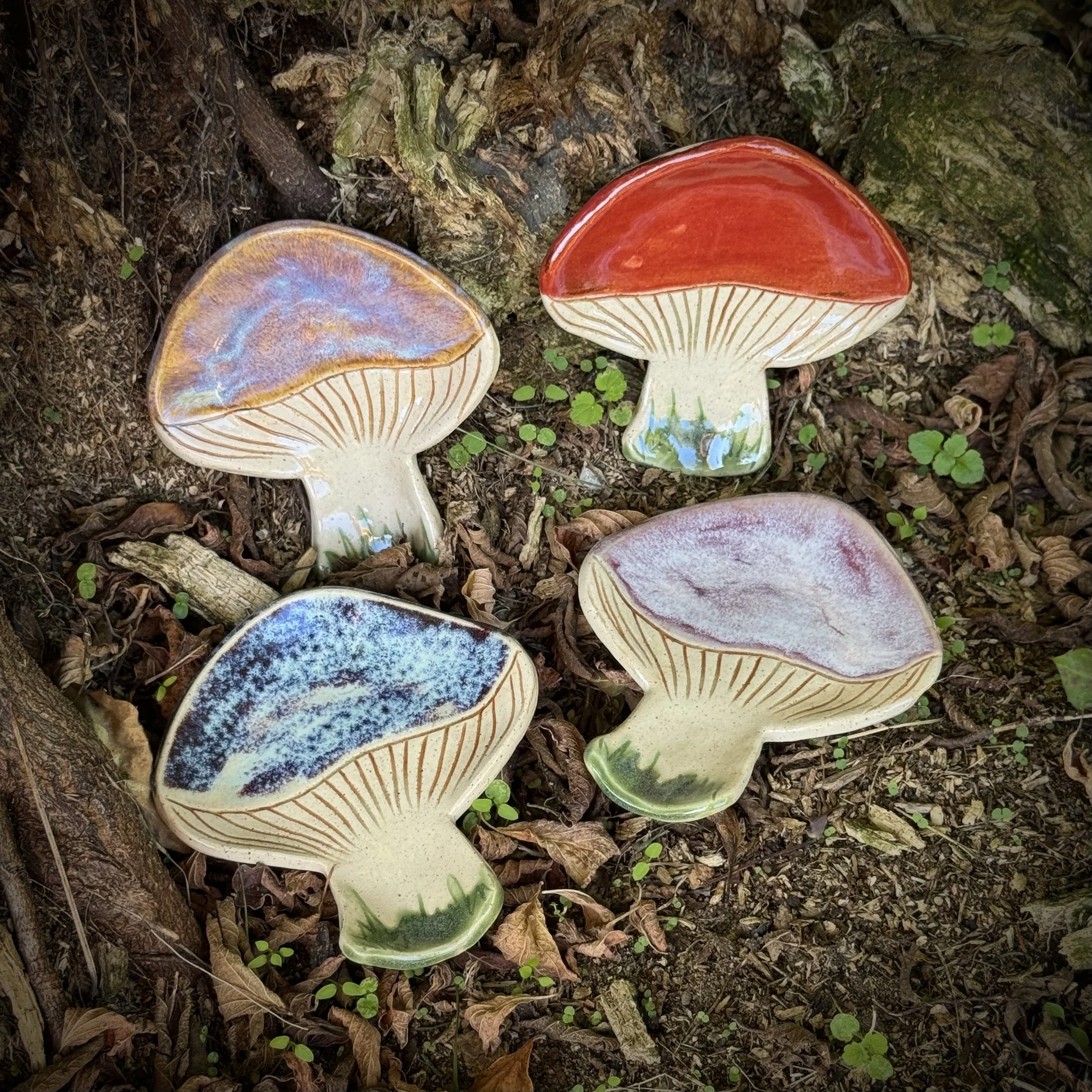 Mushroom Reliquaries, Autumn 2025