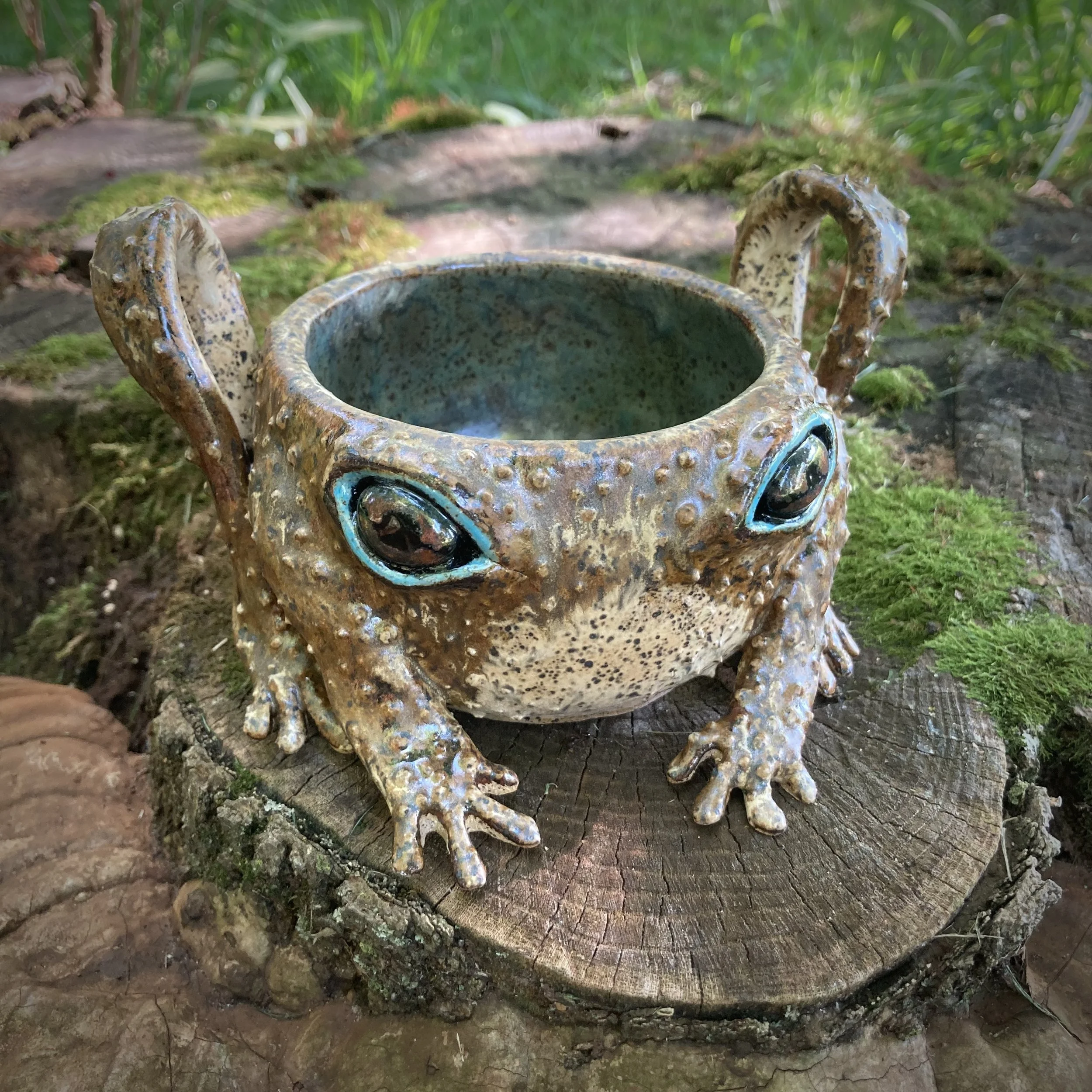 Toad Vessel, Summer 2024