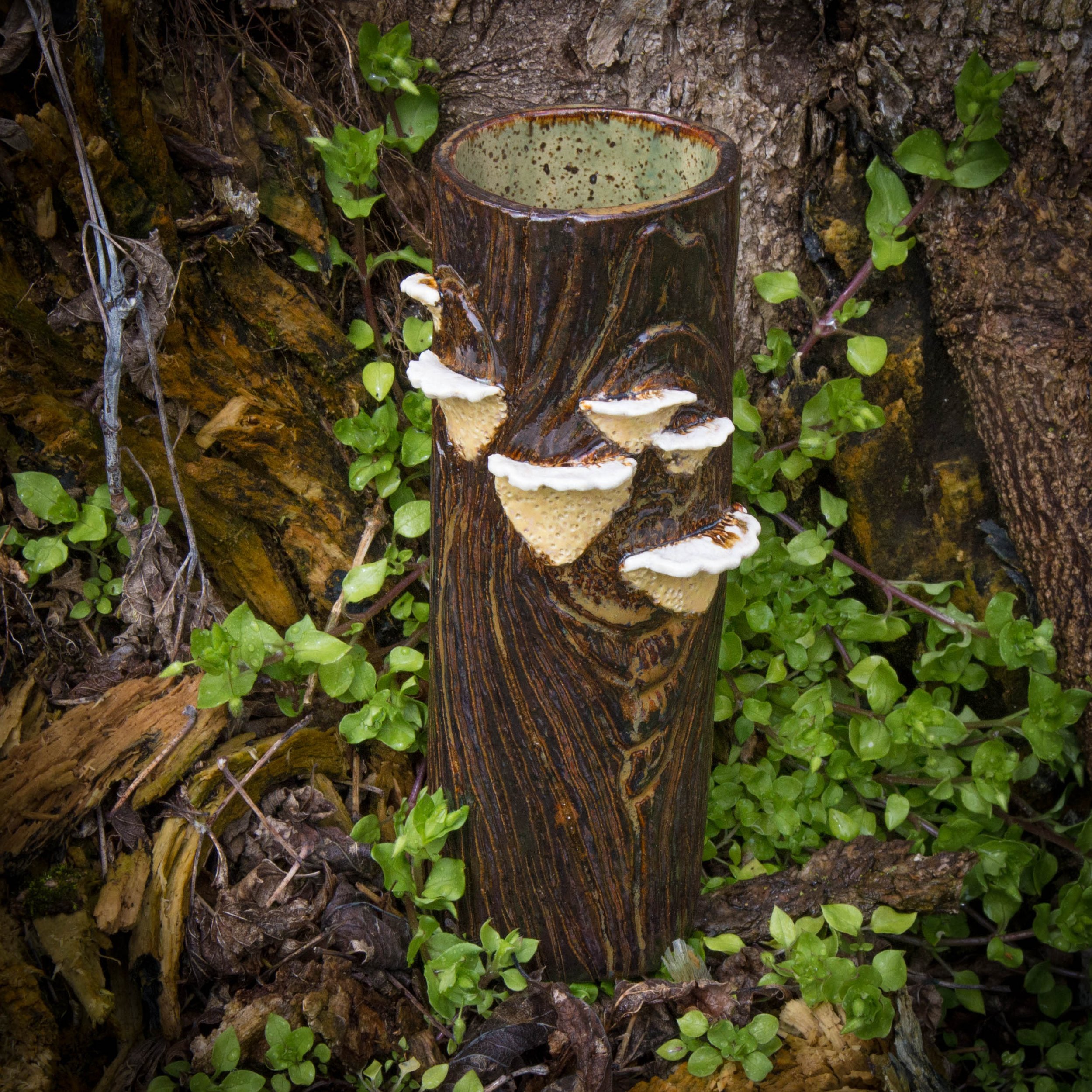Polypore Branch Vase I, Spring Season 2024
