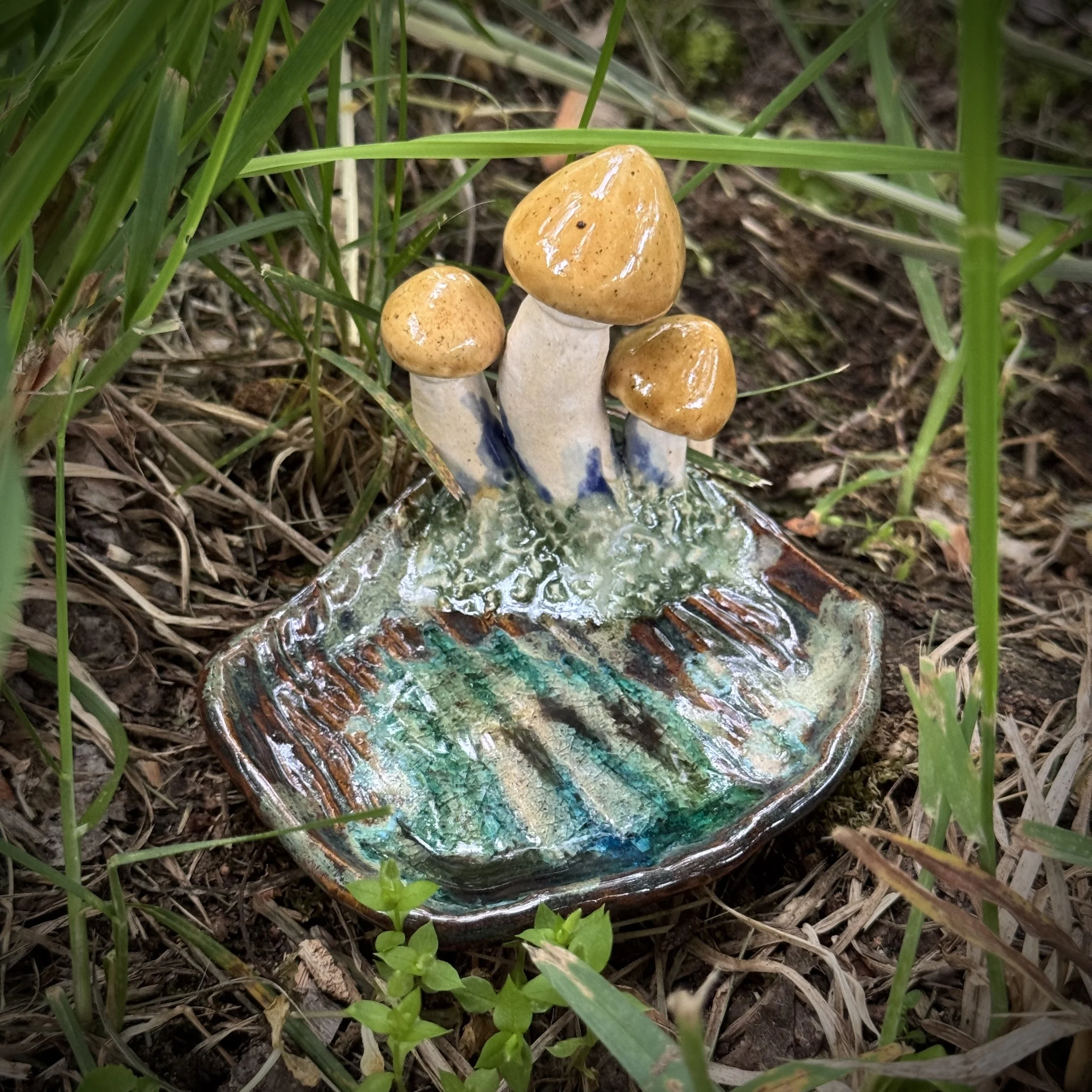 Psilocybin Reliquary, Spring 2025