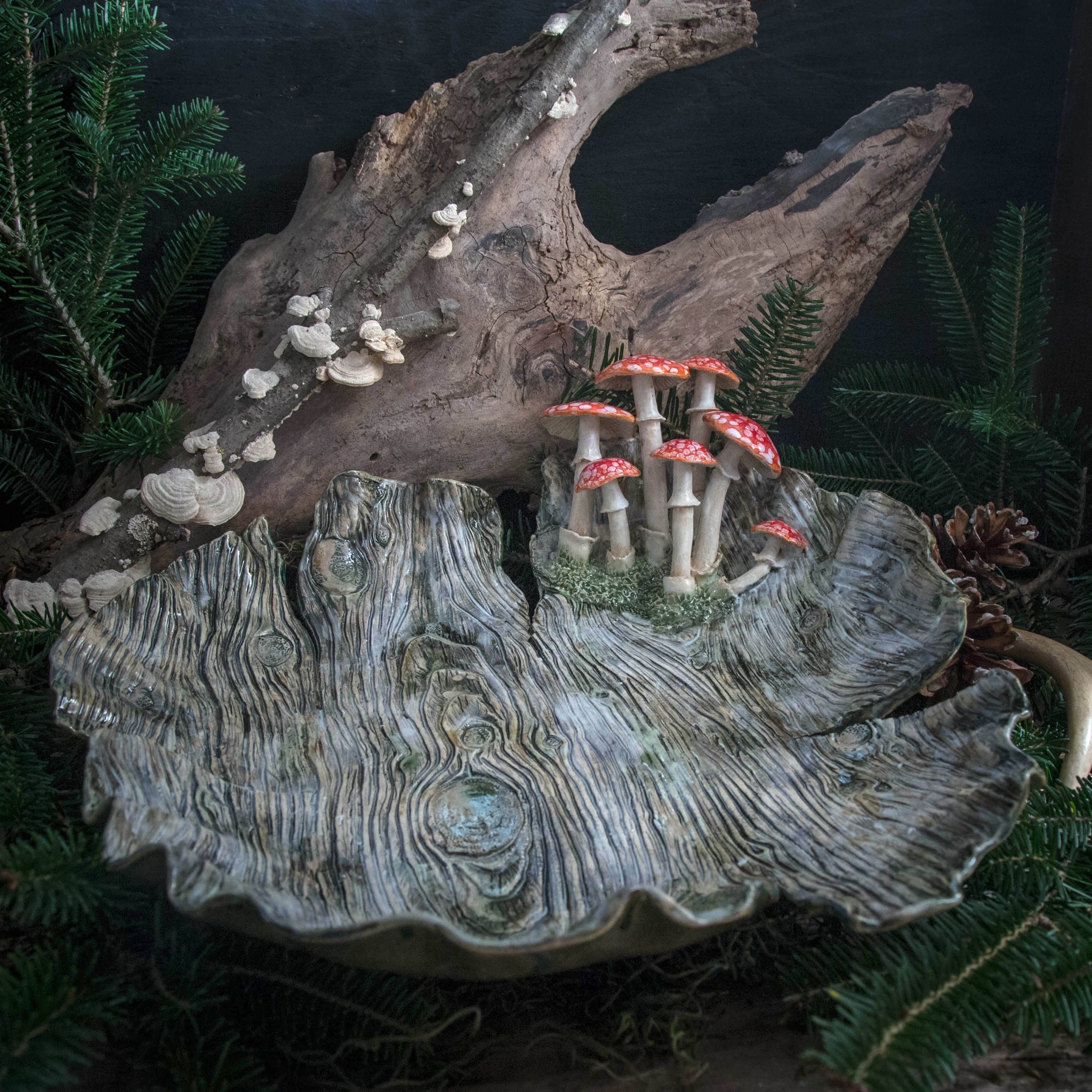 Amanita Birch Terrain, Autumn Season 2023