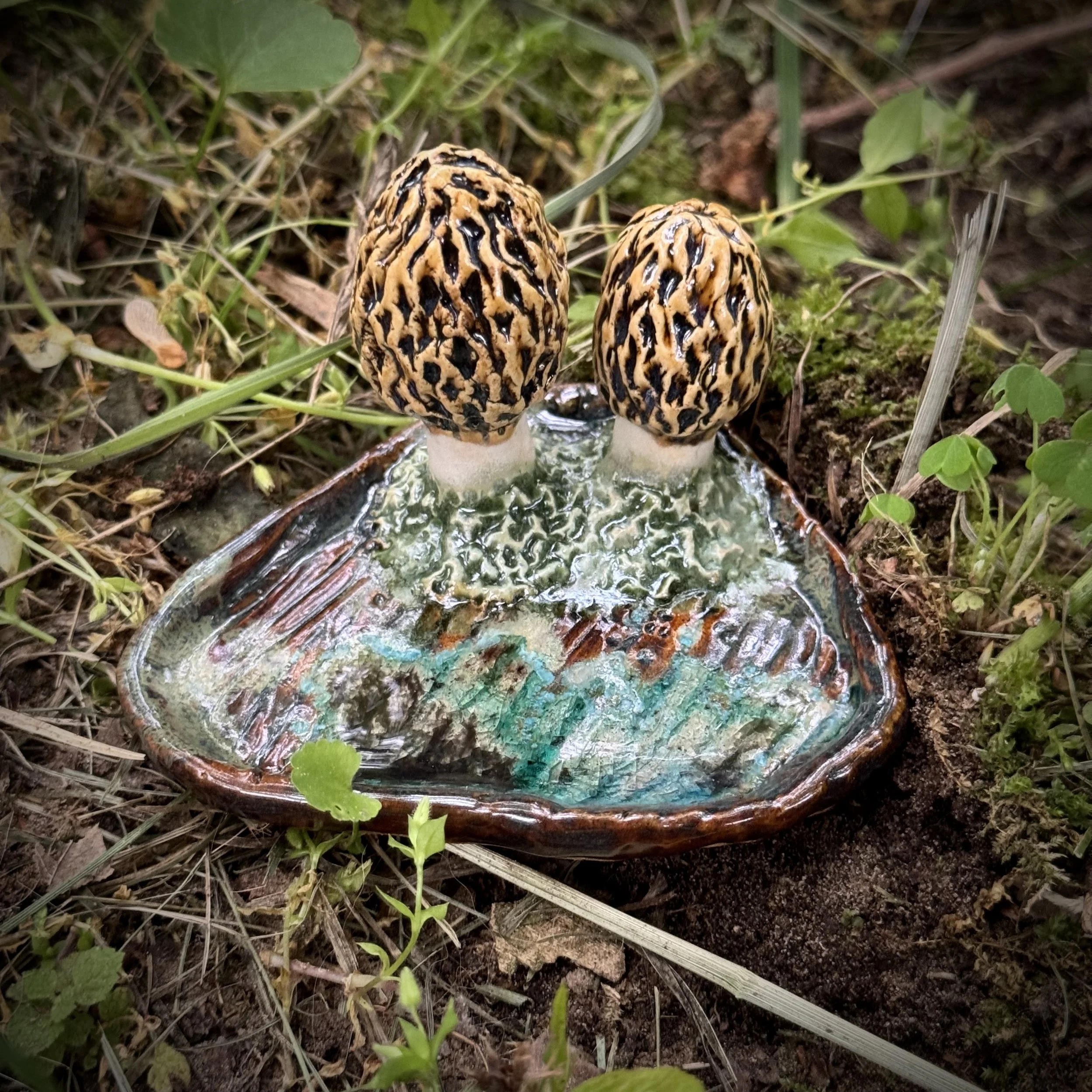 Morel Reliquary, Spring 2025