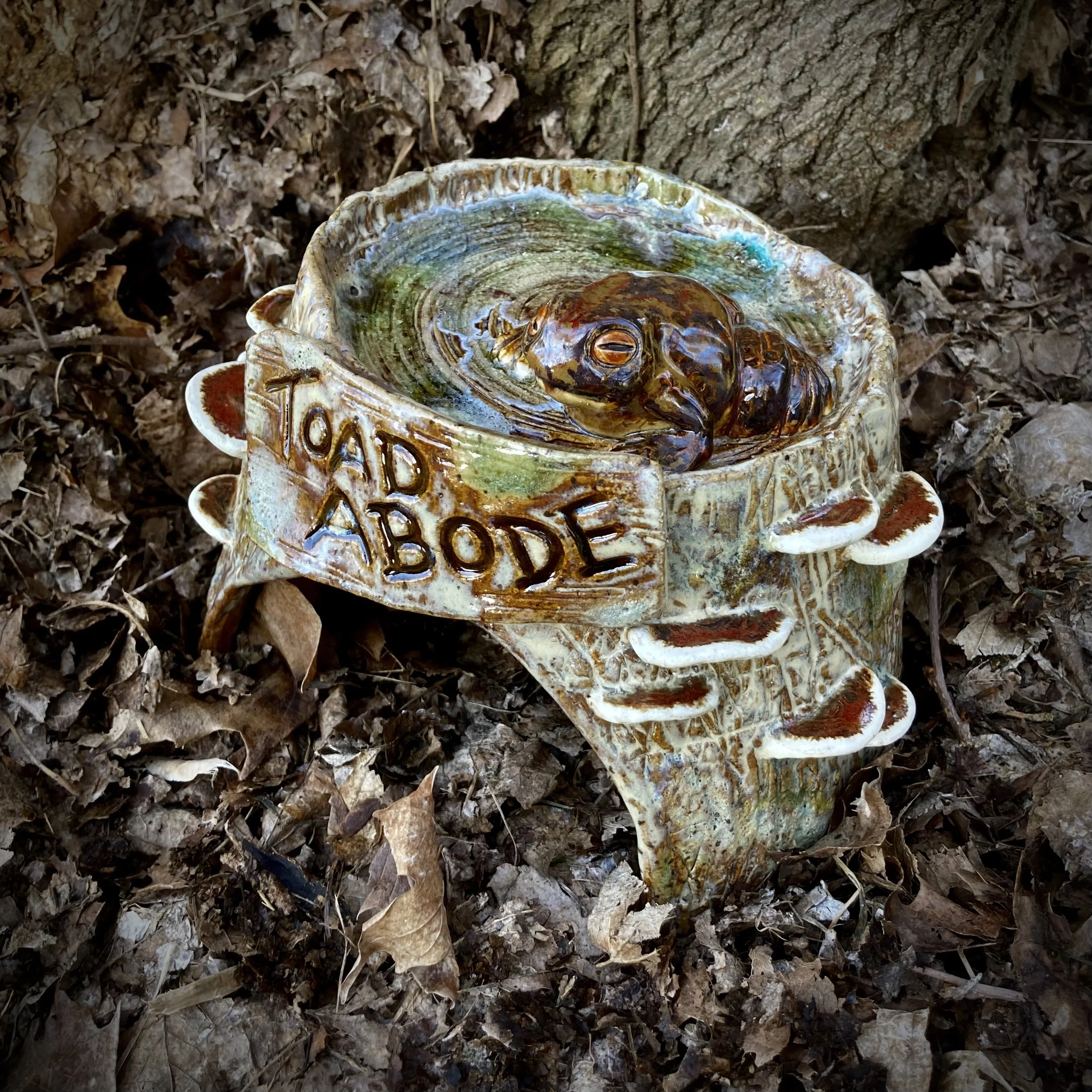 Toad Abode, Spring 2025