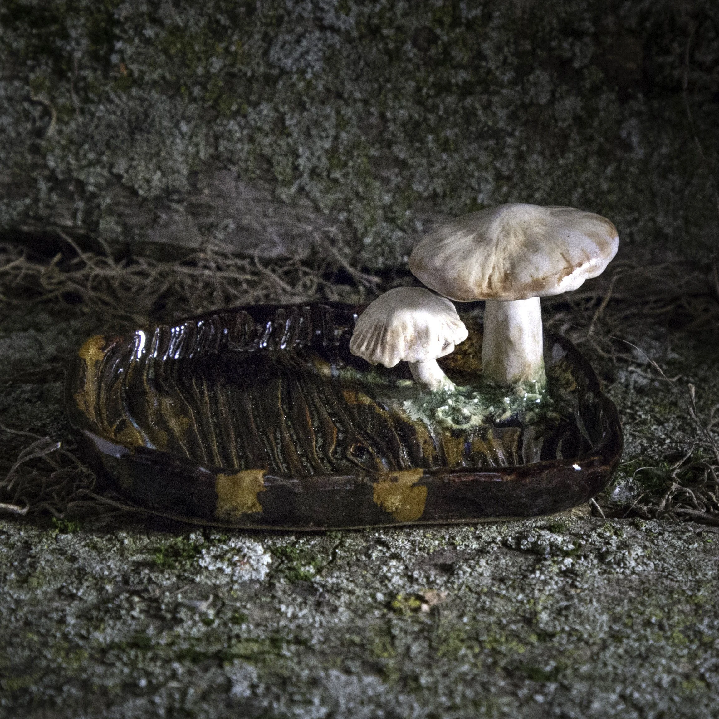 Mushroom Reliquary, Spring Season 2023