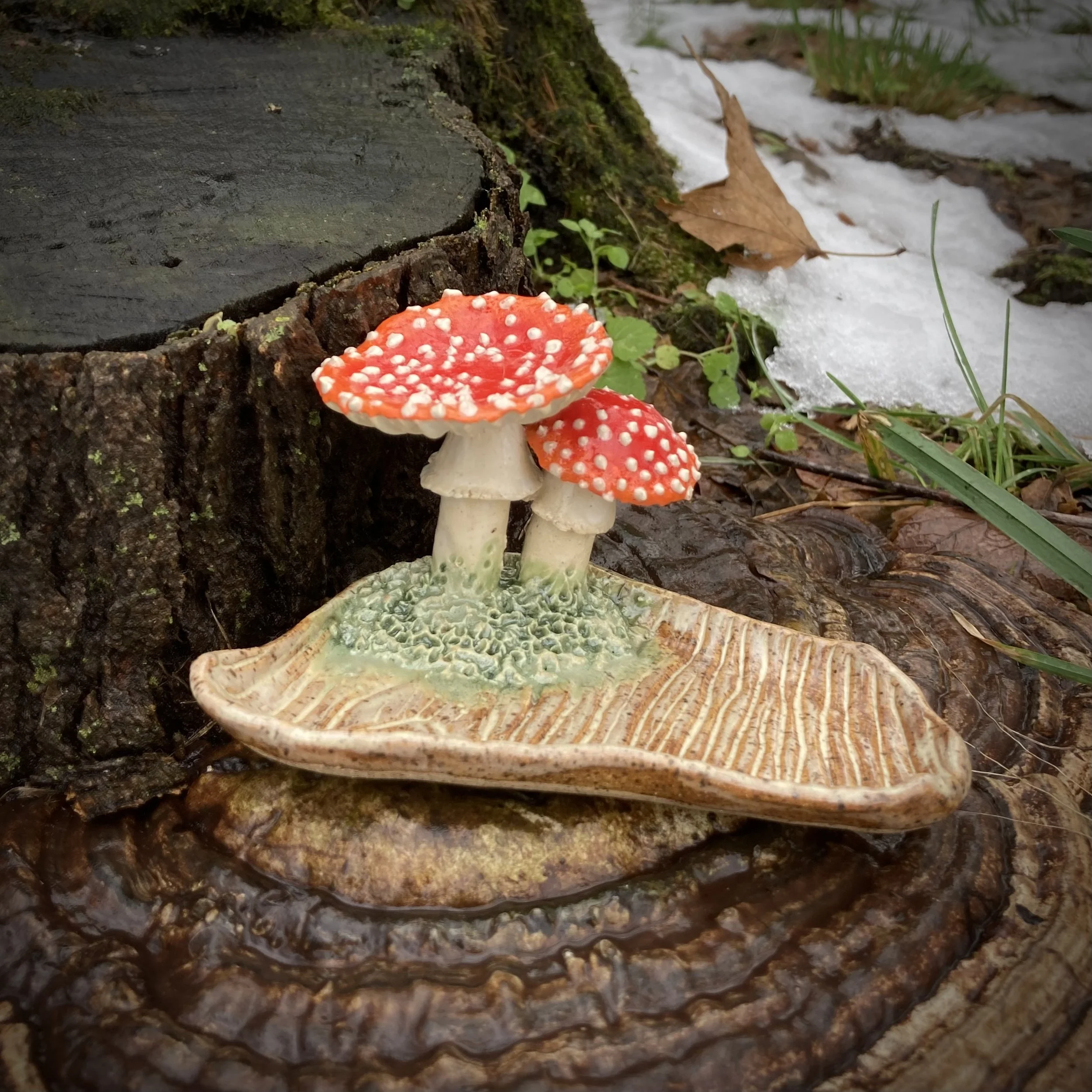 Amanita Reliquary, Autumn 2024