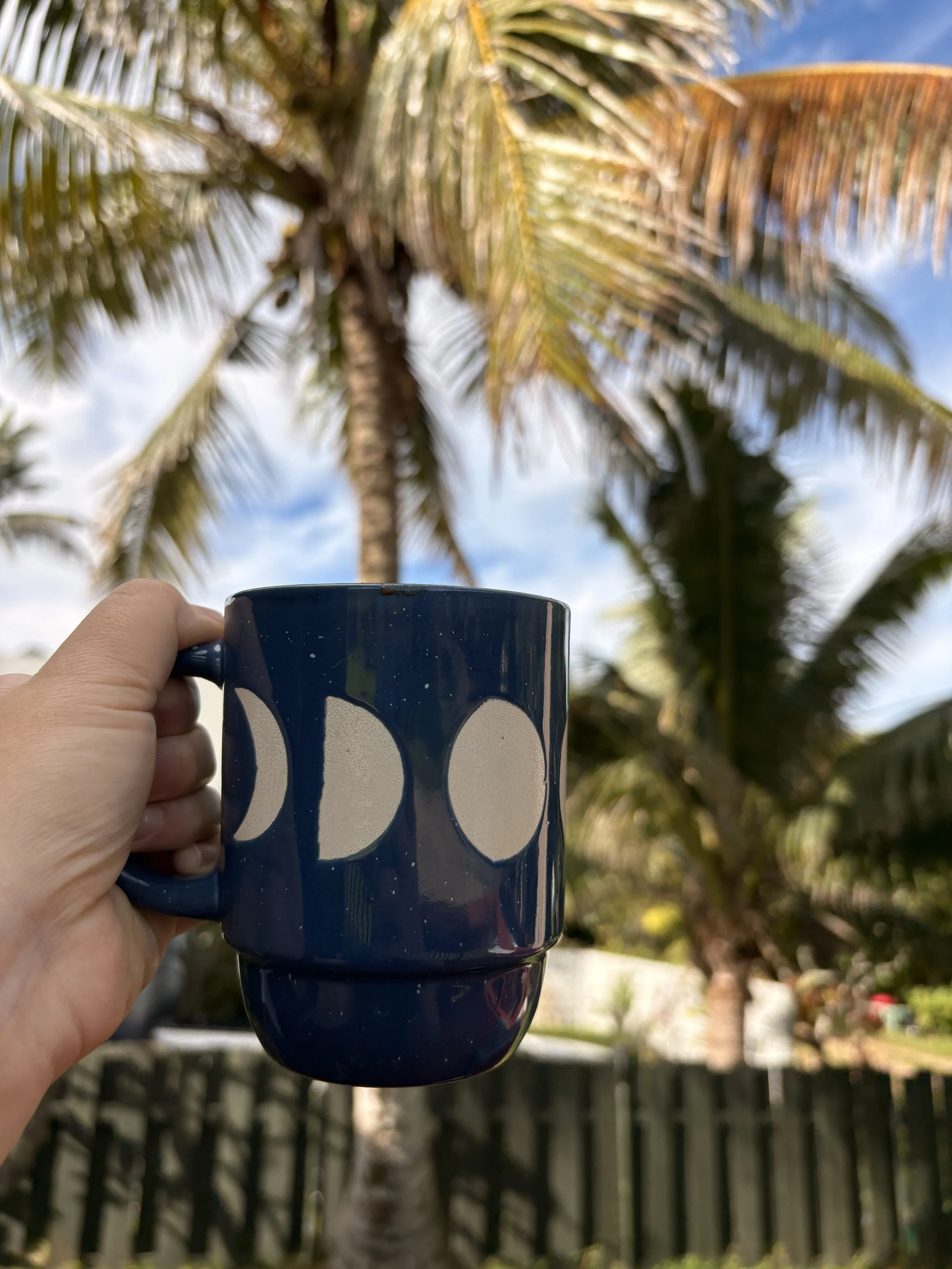 Person holding a blue mug with moon phase designs in front of a palm tree, blue sky, and clouds.