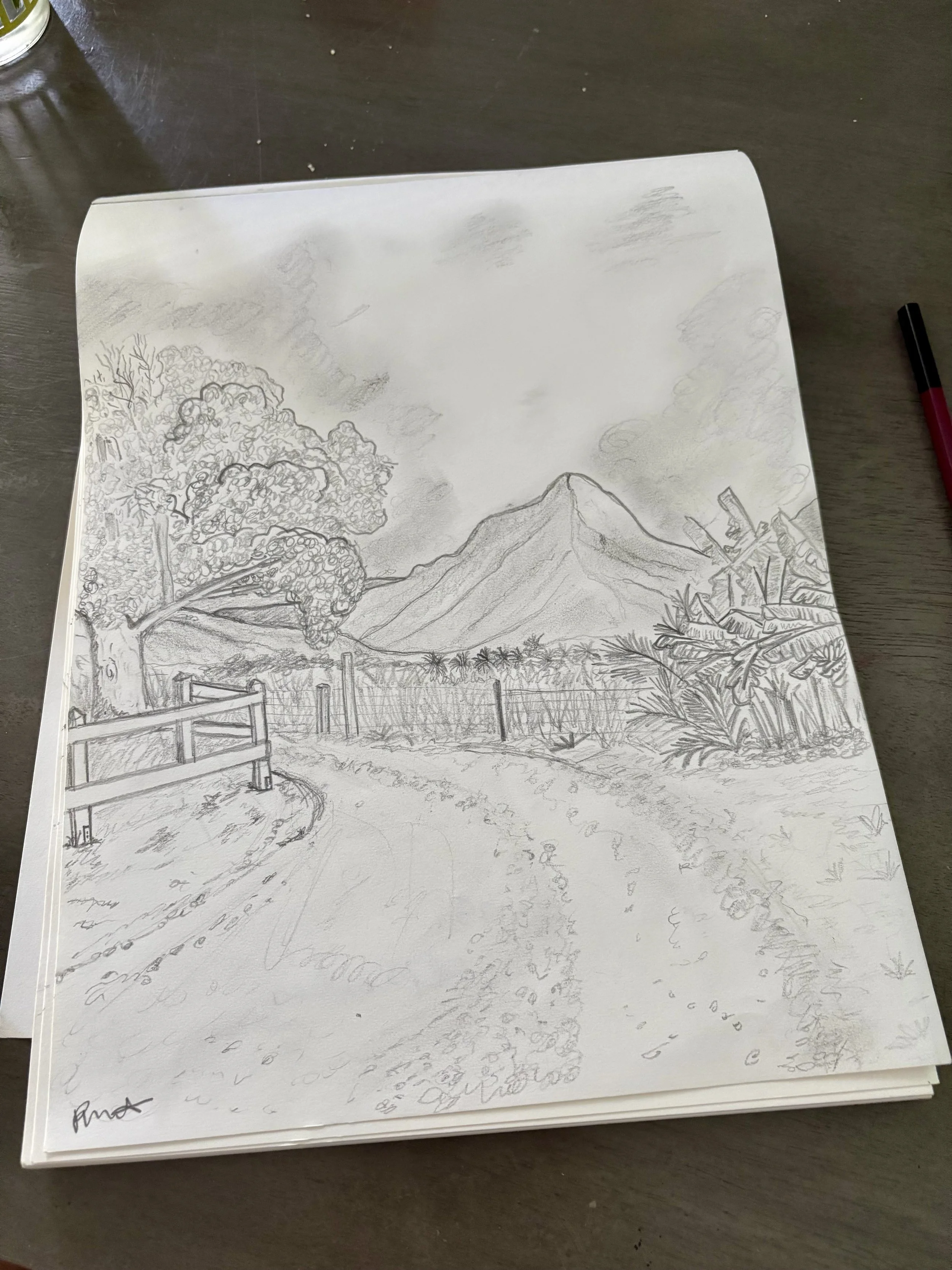 A detailed pencil sketch of a peaceful landscape featuring a large tree on the left, a mountain in the background, a fenced path in the foreground, and tropical plants on the right.