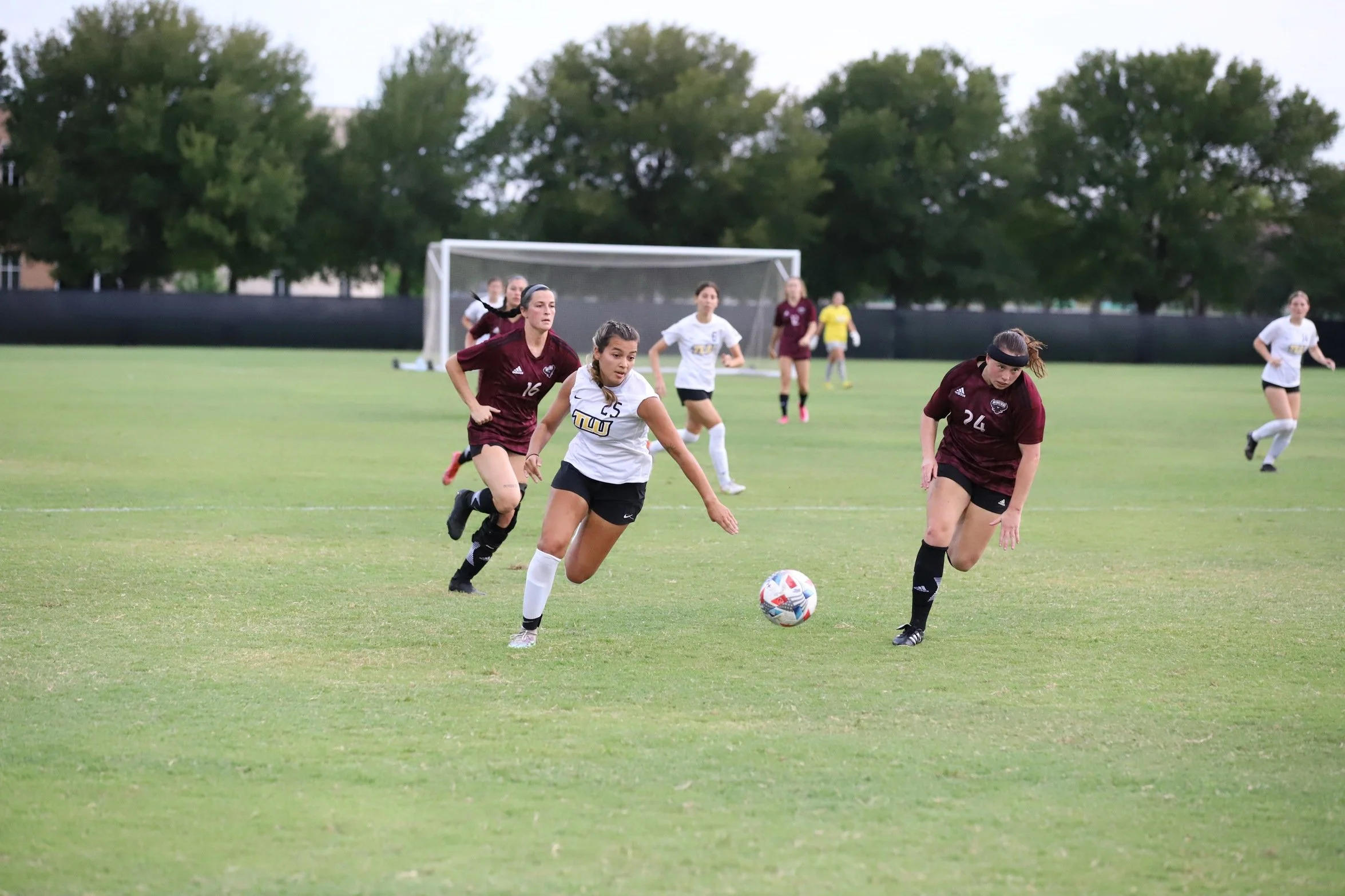 Sim earns Second Team All-Region Honors at TLU