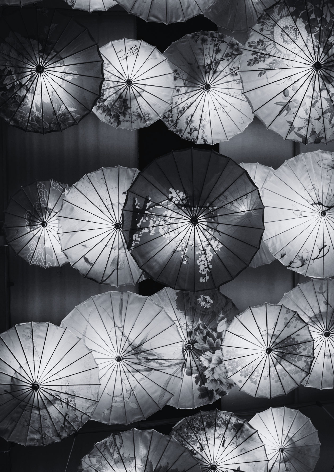 A collection of traditional Asian umbrellas hung overhead, featuring floral and nature-inspired patterns, in black and white.