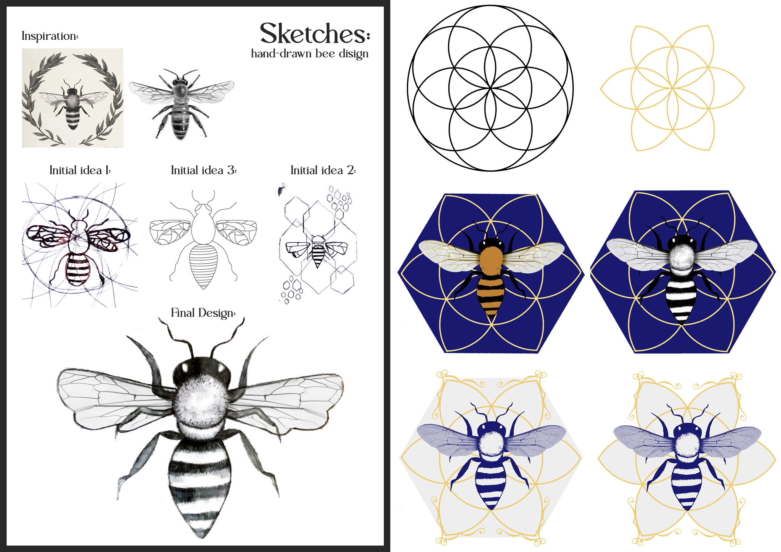 Logo Development spread.png