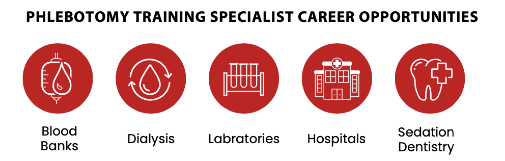 Infographic titled "Phlebotomy Training Specialist Career Opportunities" with five icons labeled Blood Banks, Dialysis, Laboratories, Hospitals, and Sedation Dentistry.