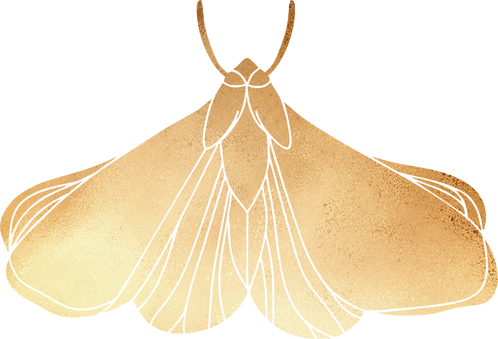 A gold foil moth, L.E. Sells, Book 1 of The Blood Rite, Kindred