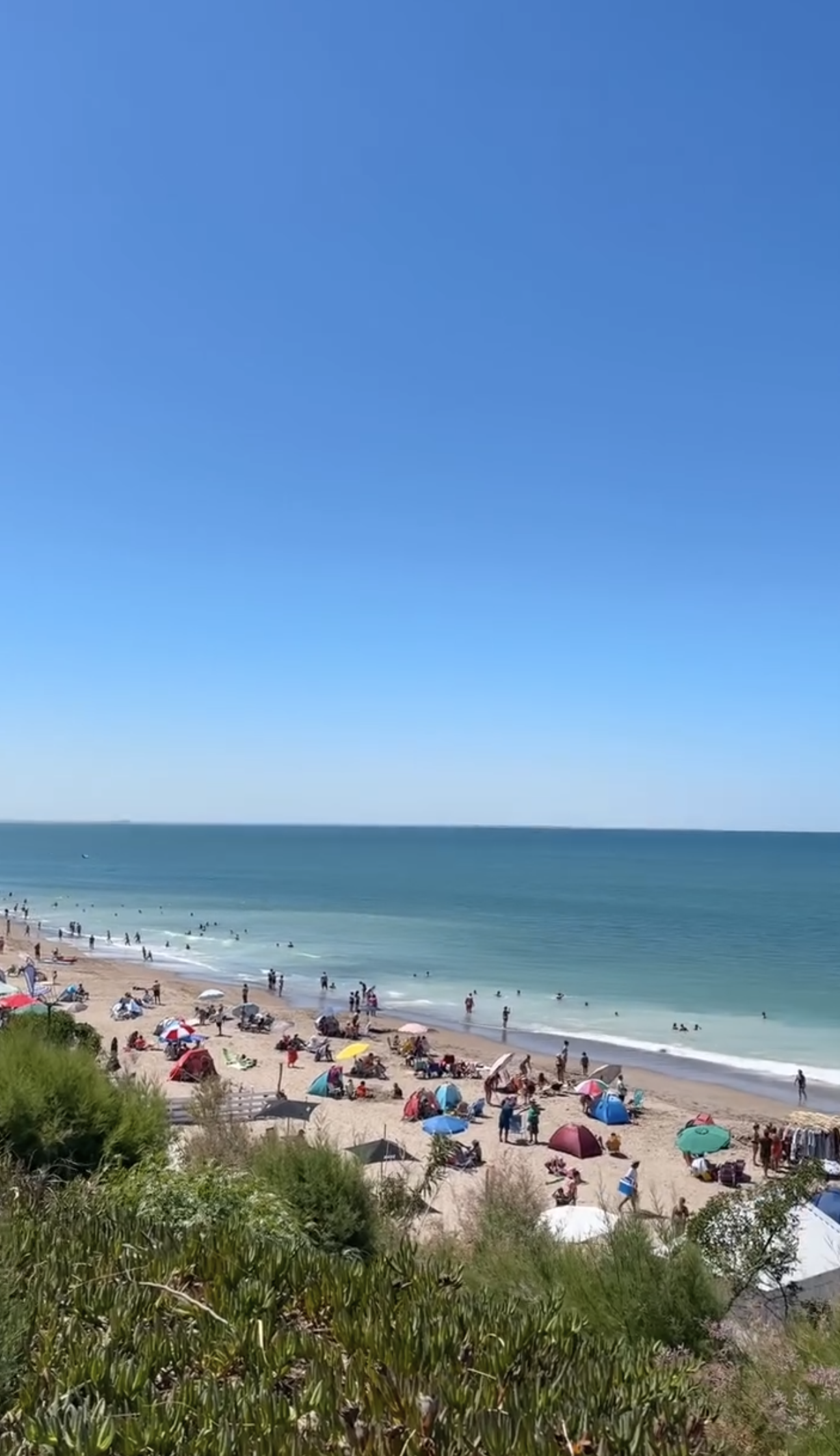 Beach with people swimming and lounging under umbrellas, surrounded by greenery on a sunny day.