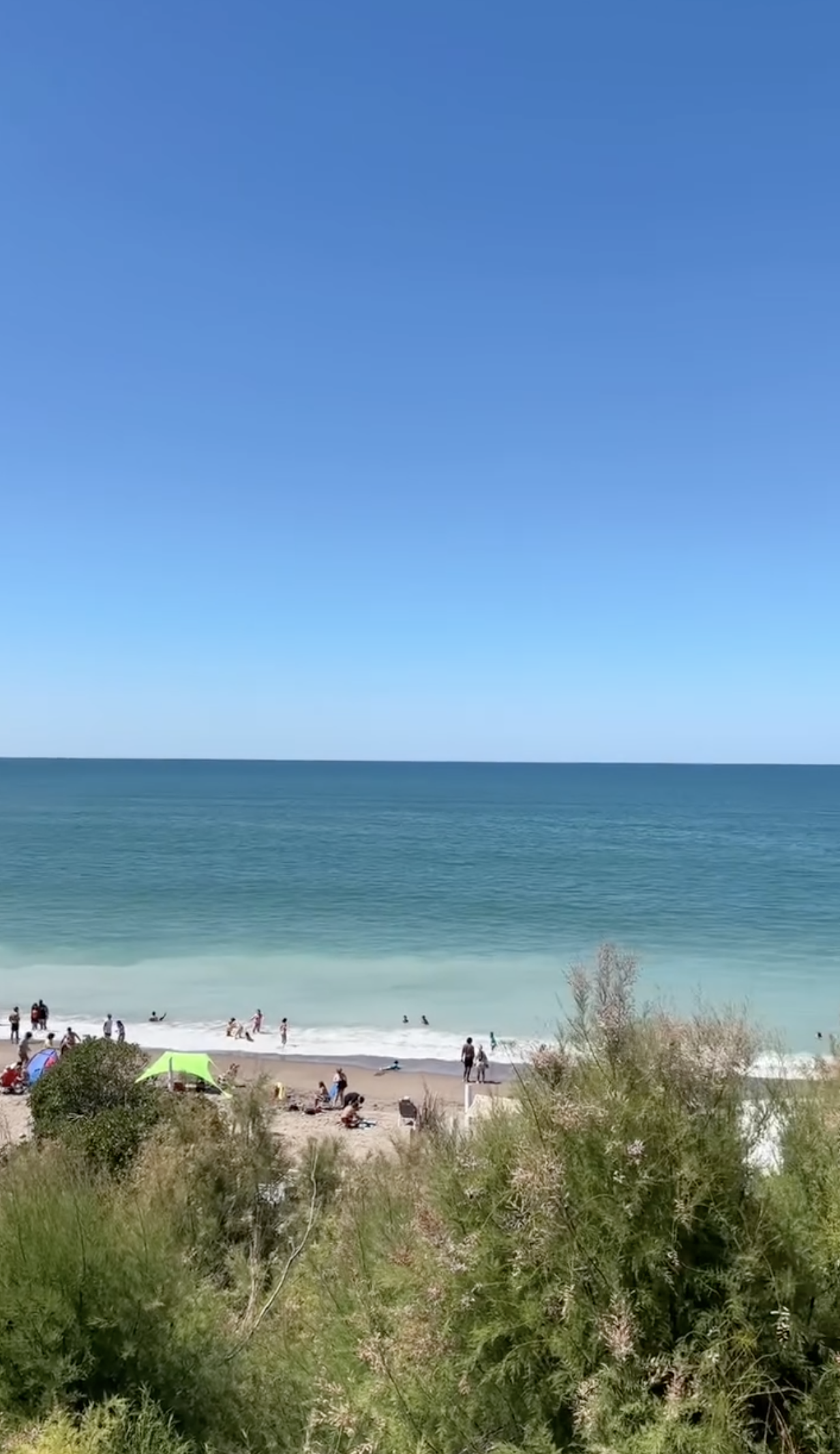 A crowded beach with people swimming, sunbathing, and playing near the shoreline. Green bushes in the foreground, sandy beach, and deep blue ocean under a clear blue sky.