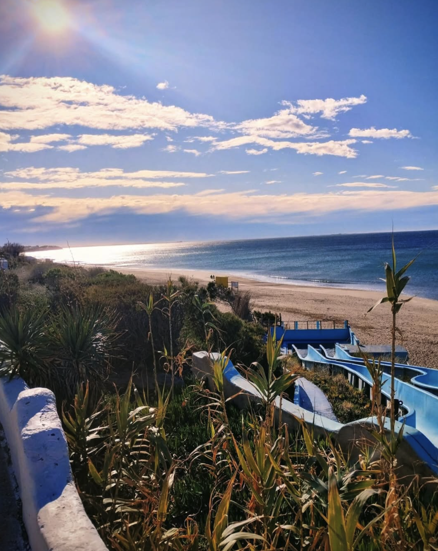 Sunny ocean view with sandy beach, green plants, and blue water slides leading toward the beach.