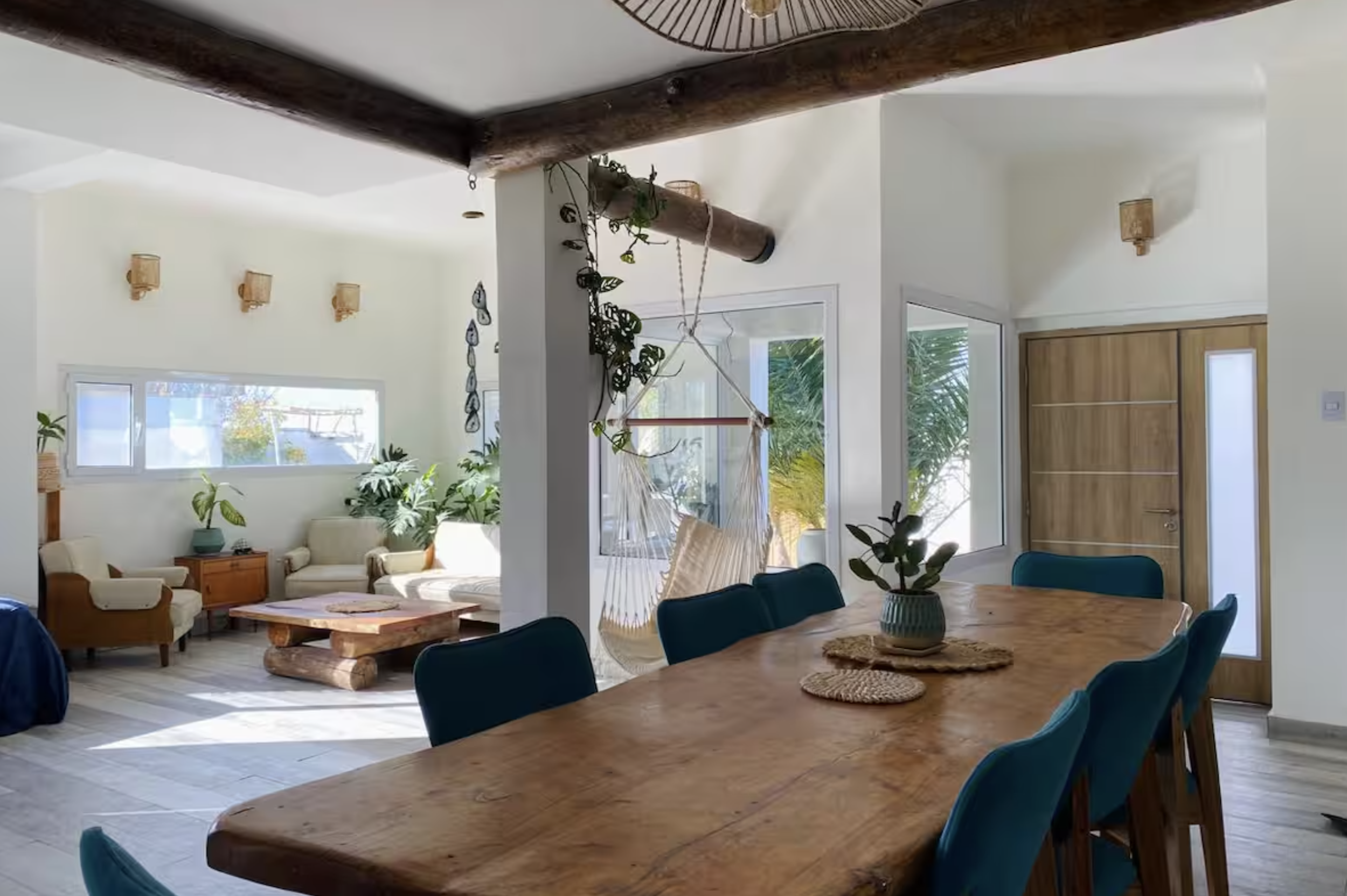 Bright open living and dining area with wooden accents, green plants, and a hanging hammock chair near large windows
