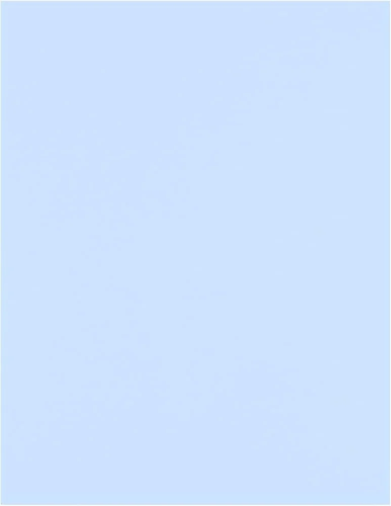 NeuroPioneers Program Application