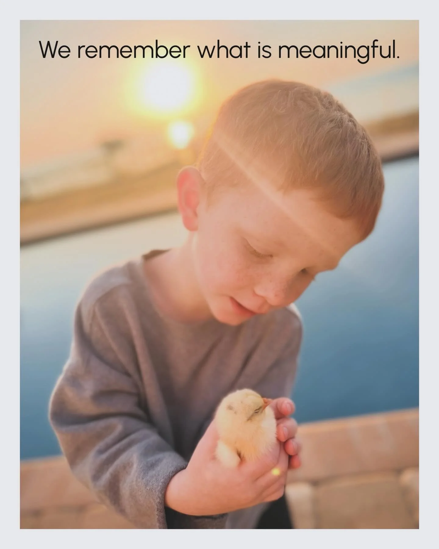 This could&rsquo;ve been a worksheet.

But it wasn&rsquo;t.

⬇️

We observed development.
We candled eggs.
We tracked incubation.
We waited through the hatch.
We cared for what emerged.
We gathered what was laid.

When learning is lived, retention fo