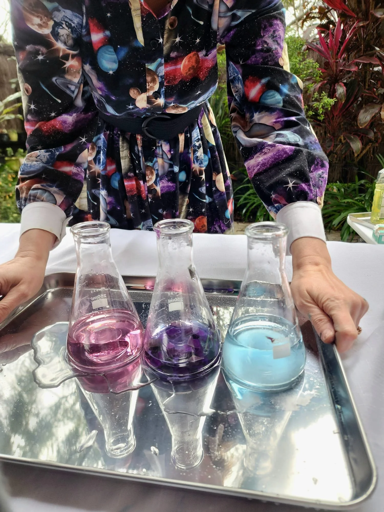 Fun learning chemistry with the Merry Scientist