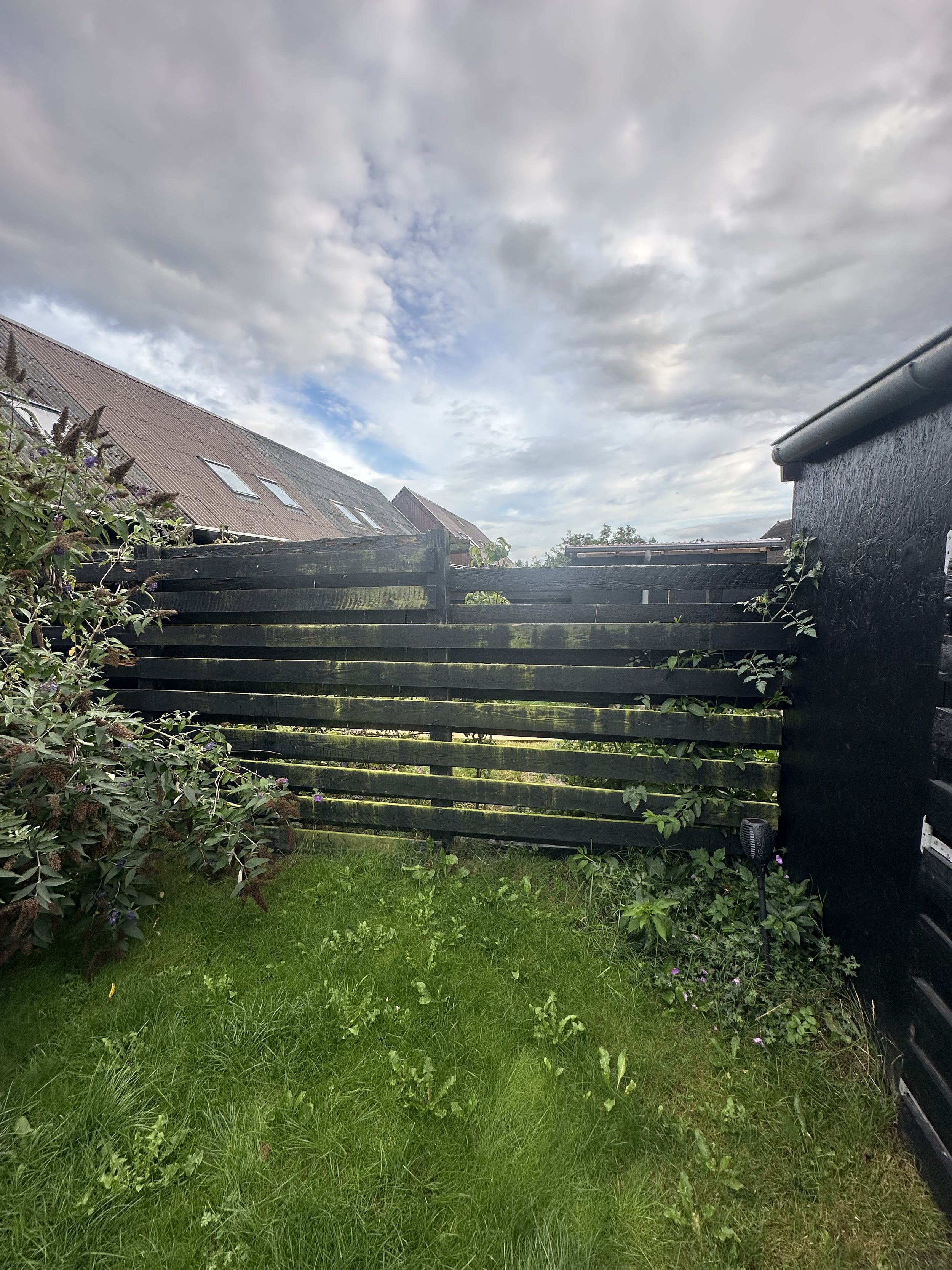IMG_0459 3.jpeg