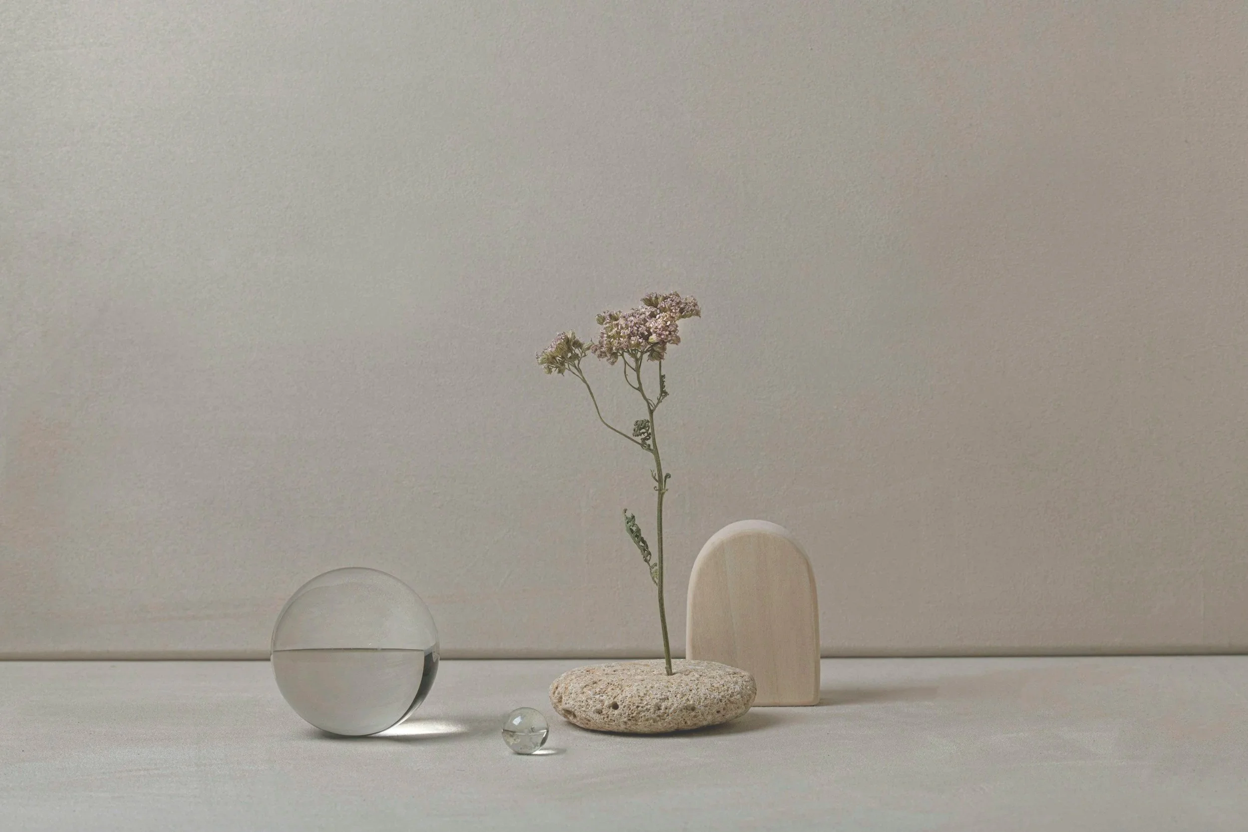 Minimalist still life with a single dried flower in a stone base, a glass sphere, and abstract white and transparent objects on a light surface against a plain wall.