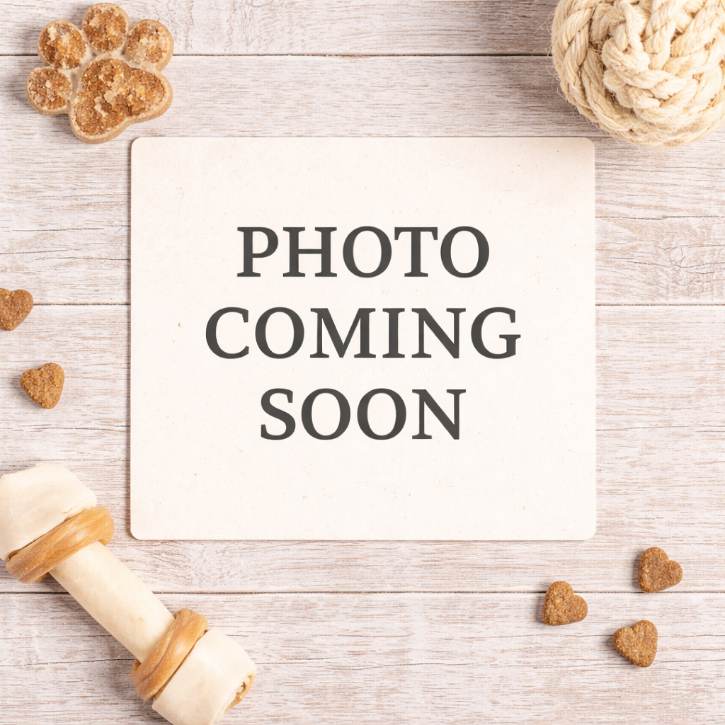 photocomingsoon.png (Copy) (Copy)