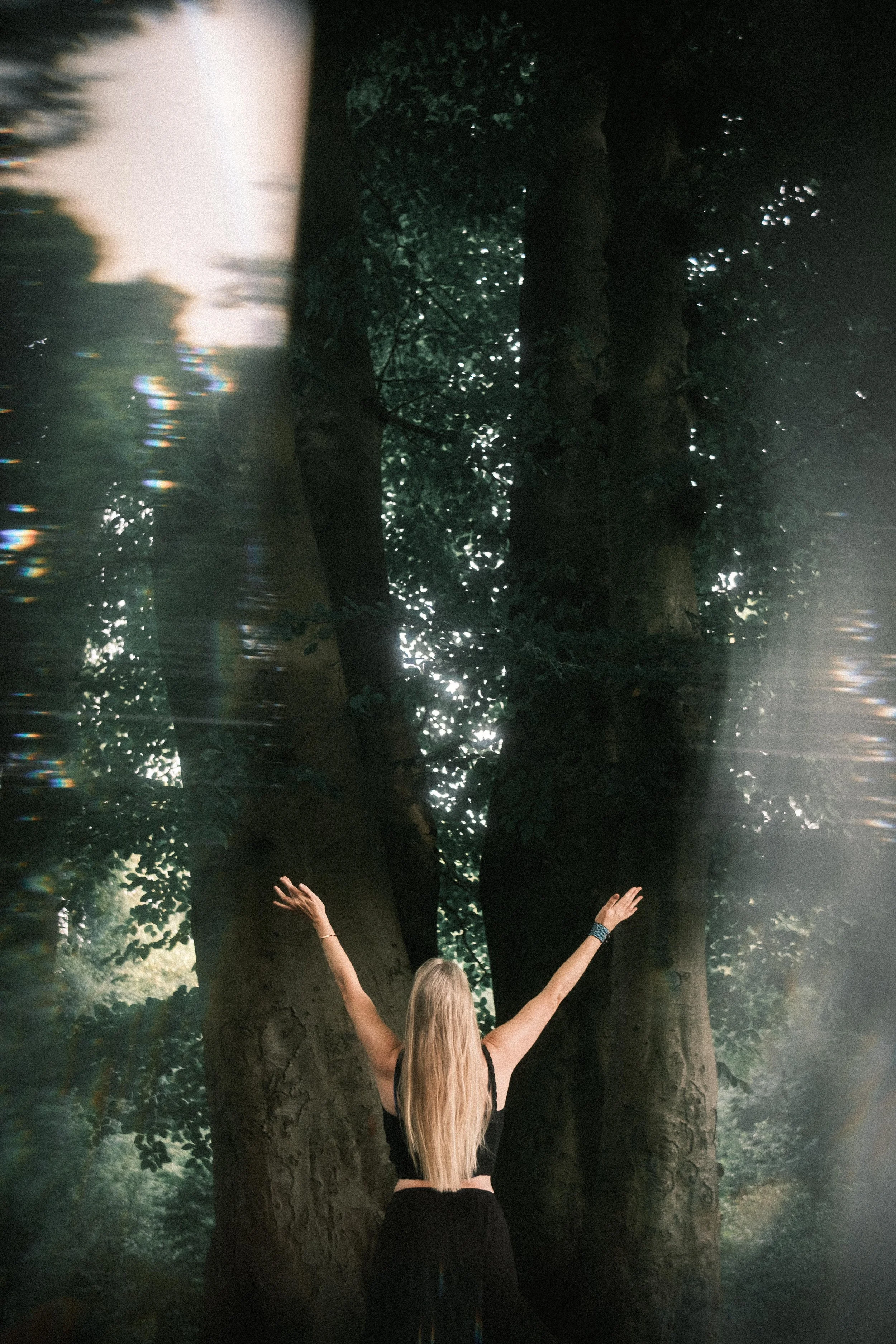 Eine Frau mit langen blonden Haaren steht mit ausgebreiteten Armen vor einem großen, gespaltenen Baum in einem dunklen, bewaldeten Gebiet. Sonnenlicht dringt durch das Blätterdach.