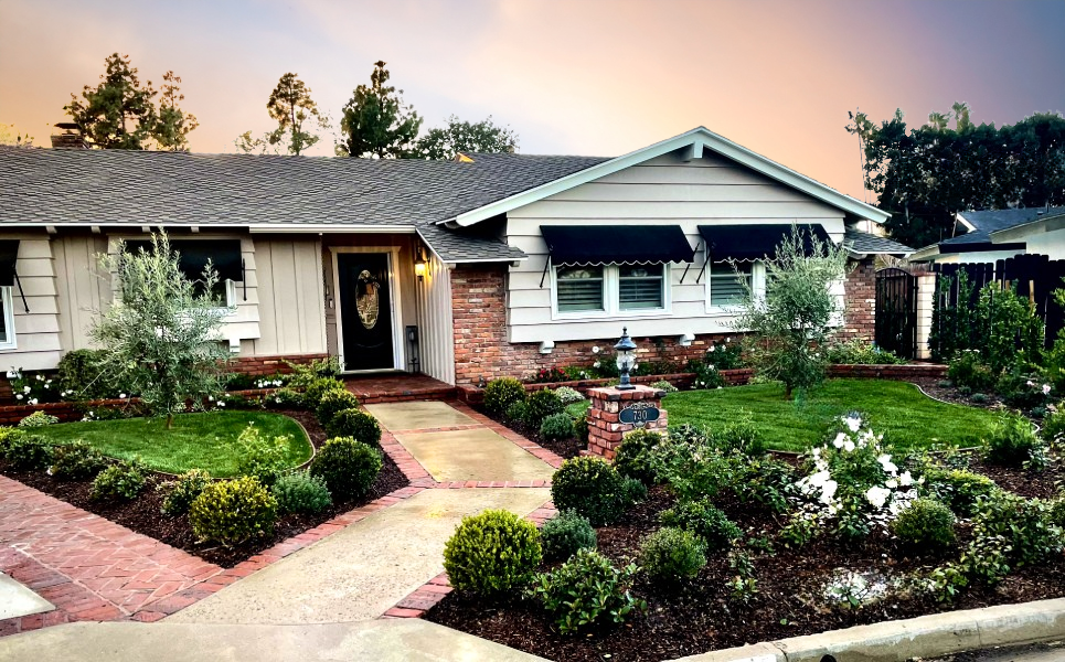 Curving beds of boxwood, roses, and olive trees frame the entrance to this classic California home