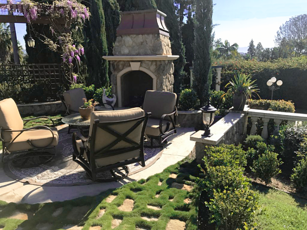 Lush, cozy Provence courtyard planted with hardy Mediterranean favorites—boxwood, cypress, pittosporum, lavender, olives, and roses—highlighted each year by beautiful wisteria