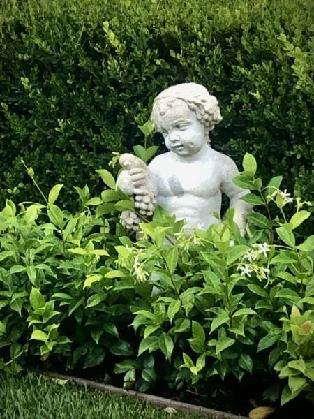 Antique statue of Autumn in a bed of star jasmine