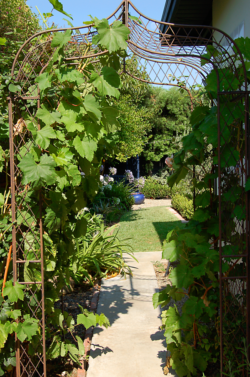 Grapevines climb this vintage garden arbor that acts as the doorway to the lush planting beyond.