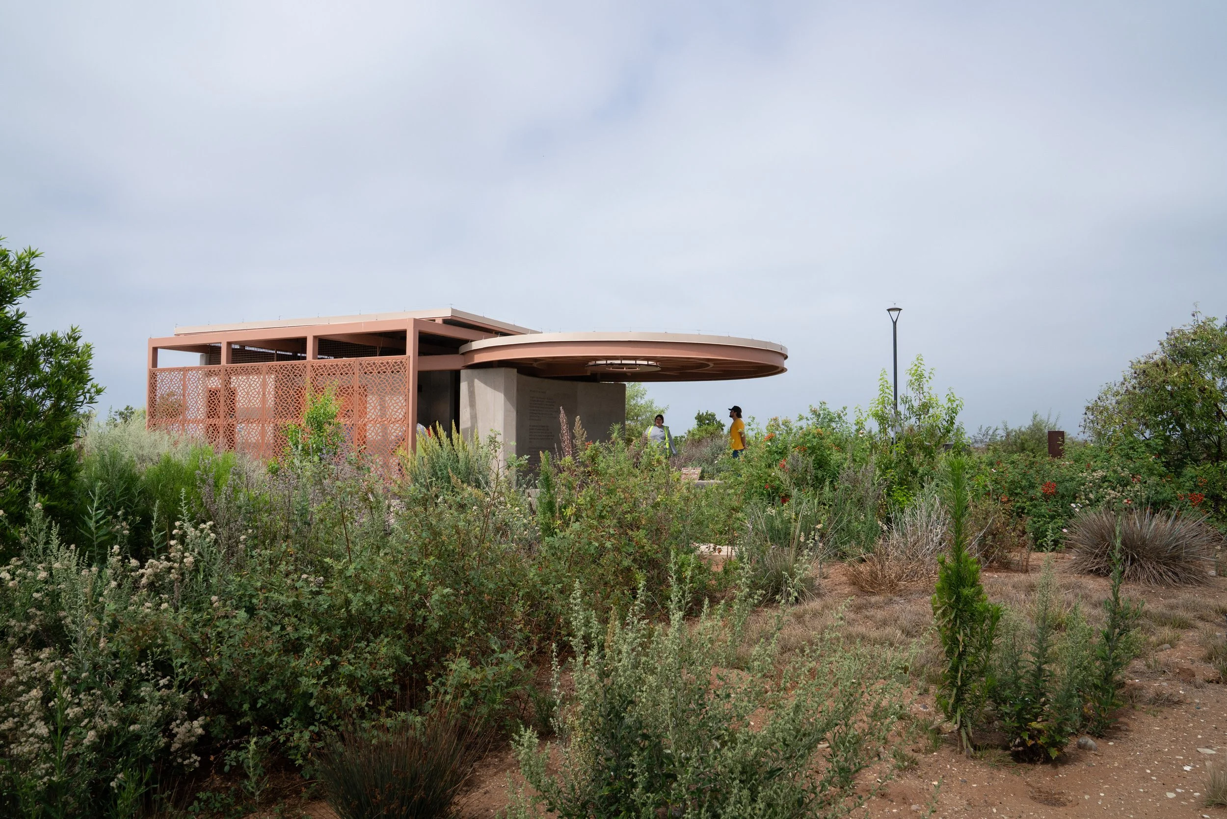 DSC01347-5.jpg