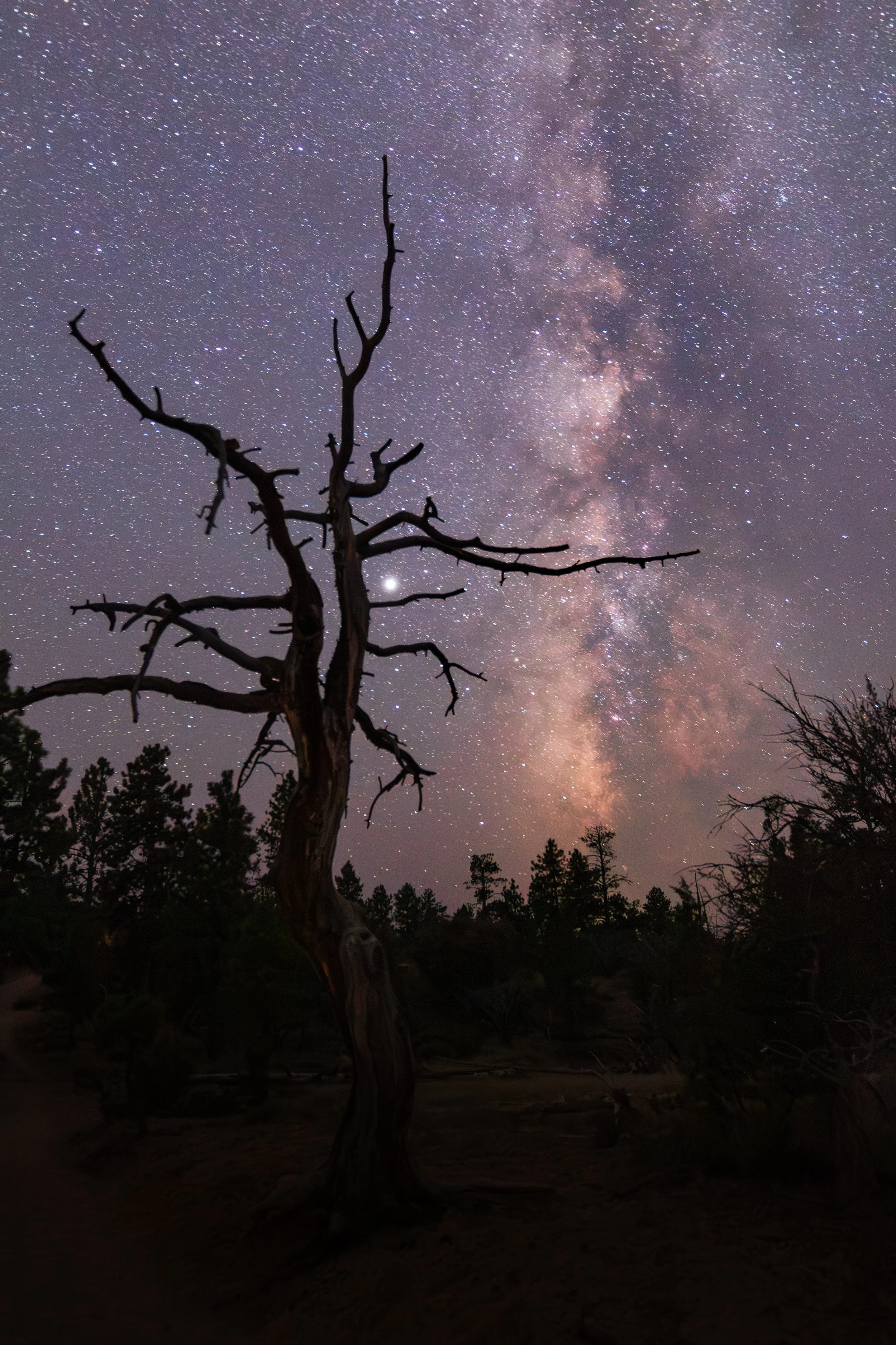 Bryce Canyon Milky.jpg