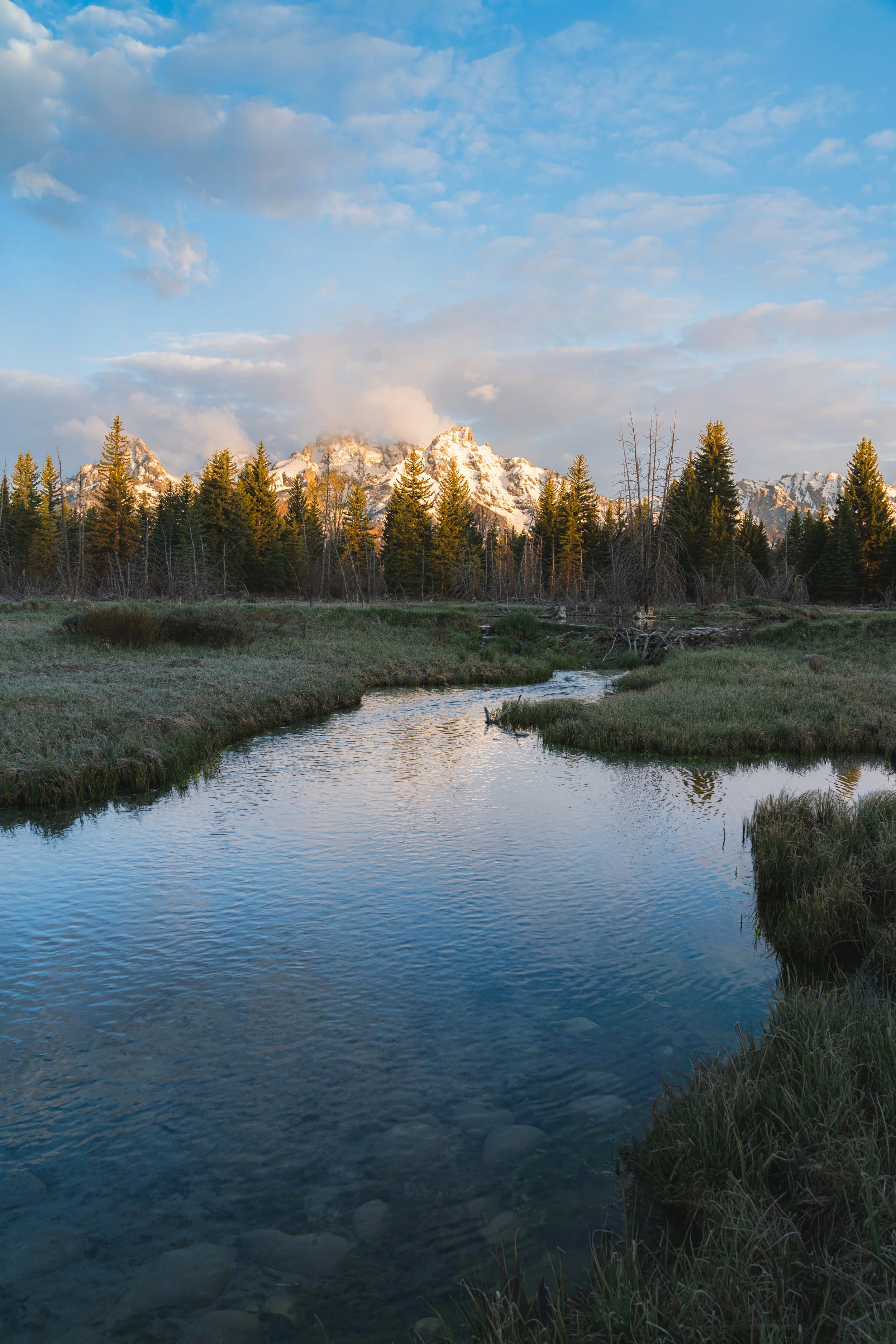 Teton Mnt 03.jpg