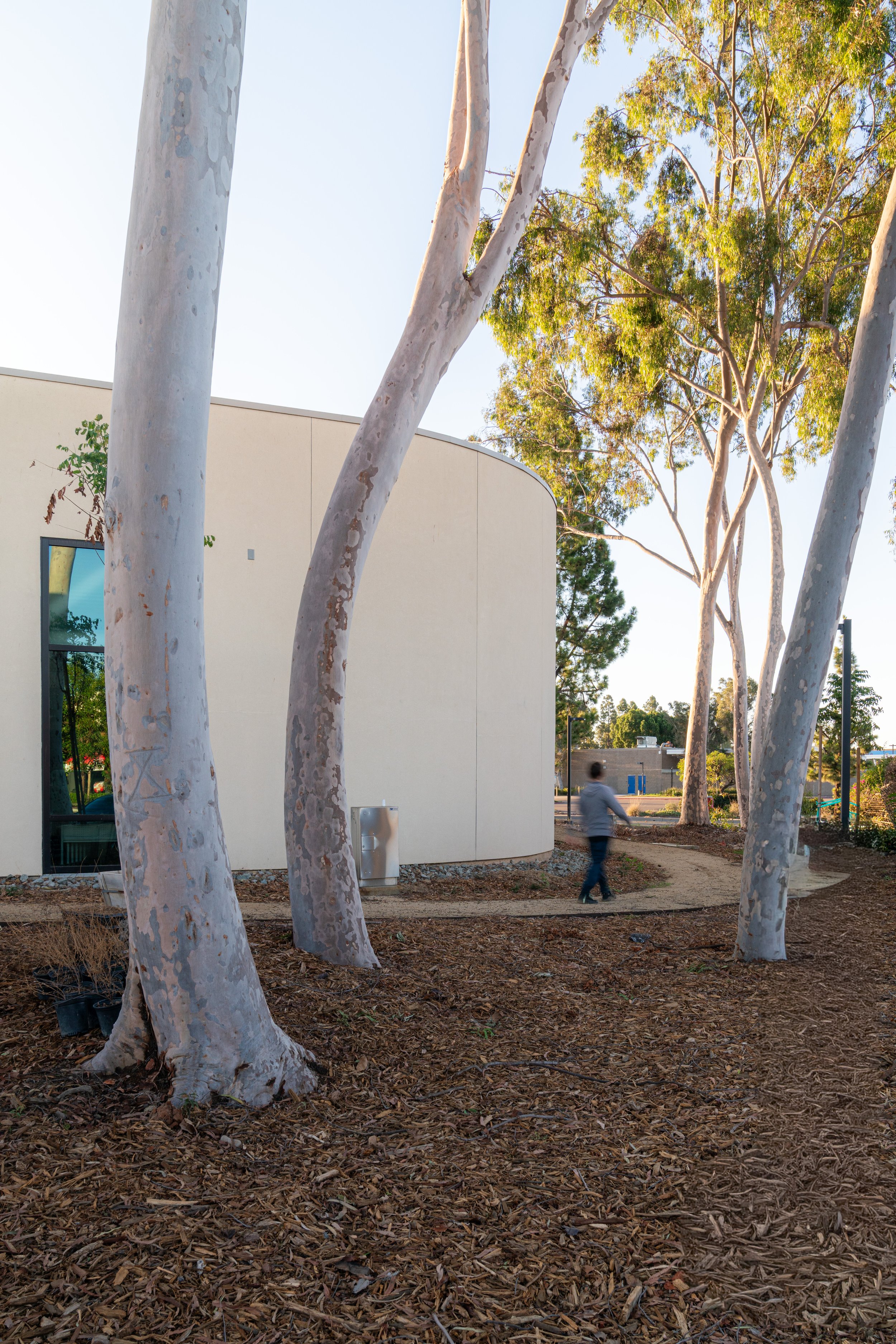 Mira Mesa Epicenter-28.jpg