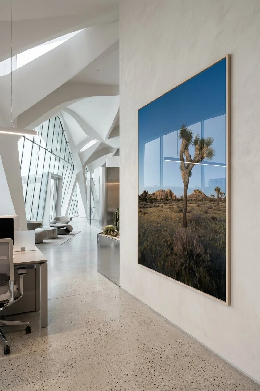 Joshua tree1 - office.jpeg