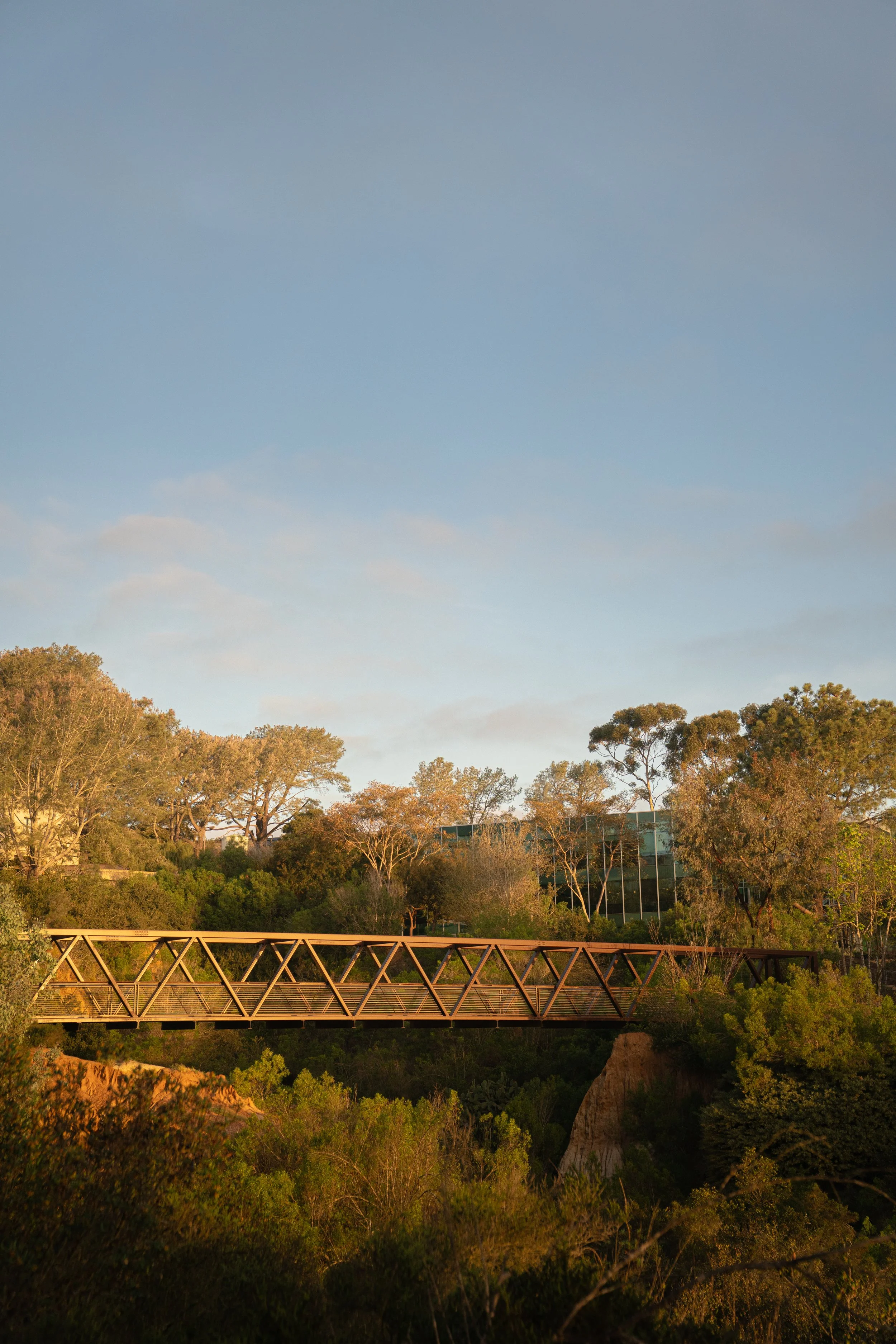One Alexandria Bridge 10.jpg