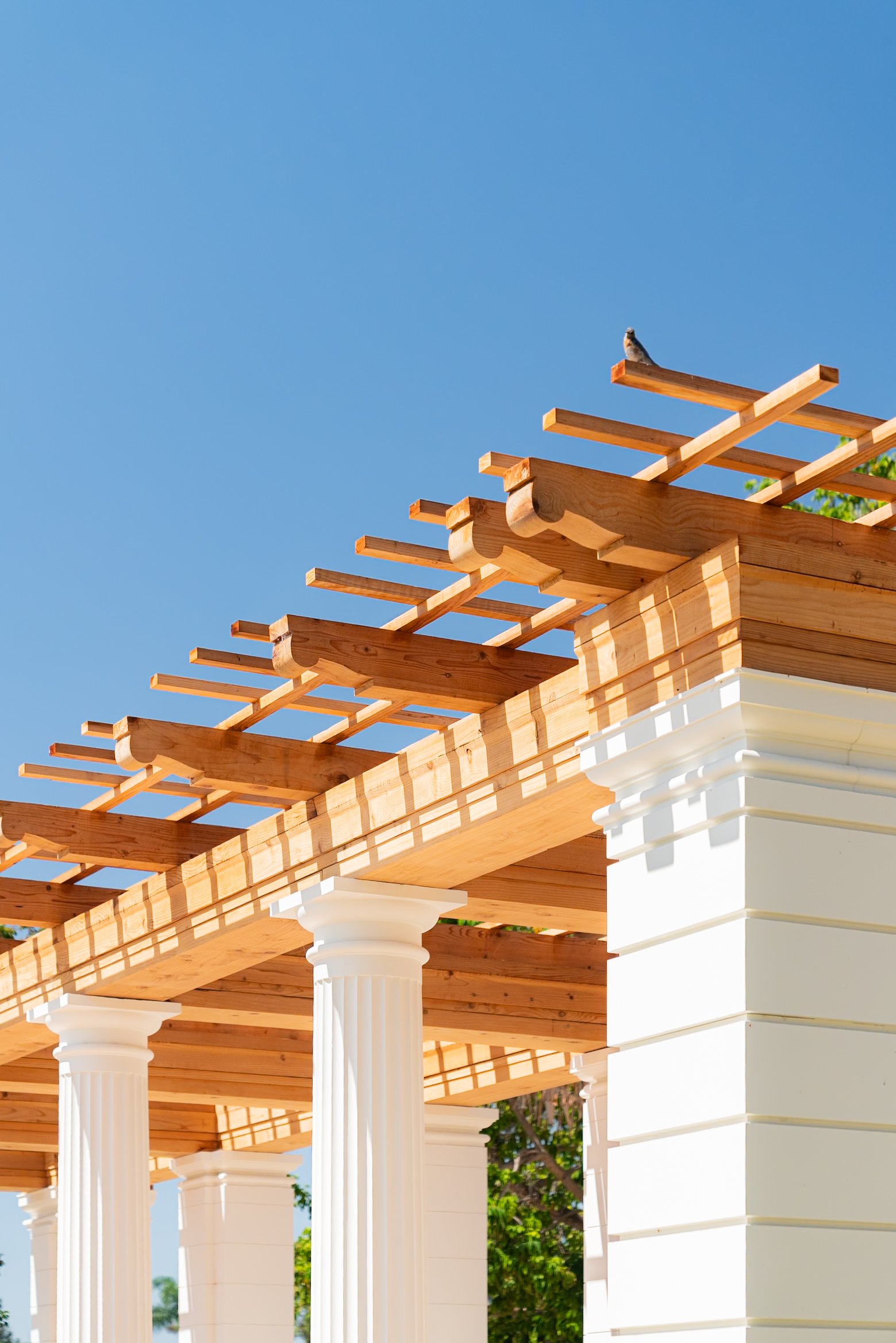 Balboa Park - Historic Pergola | RNT