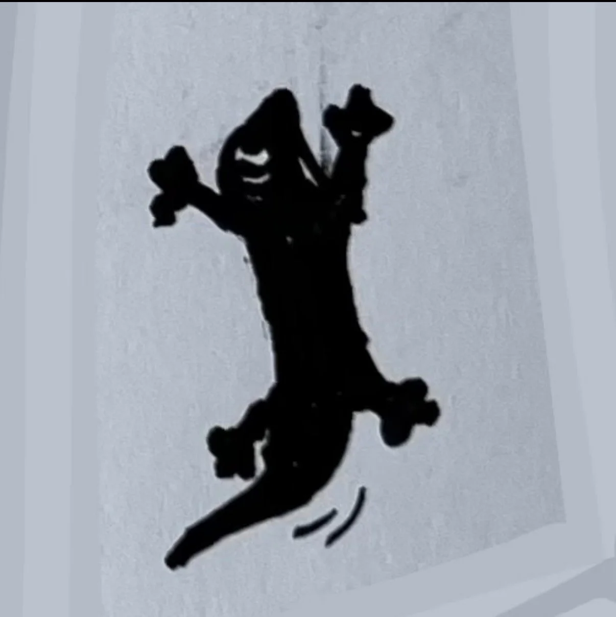 being and newtingness