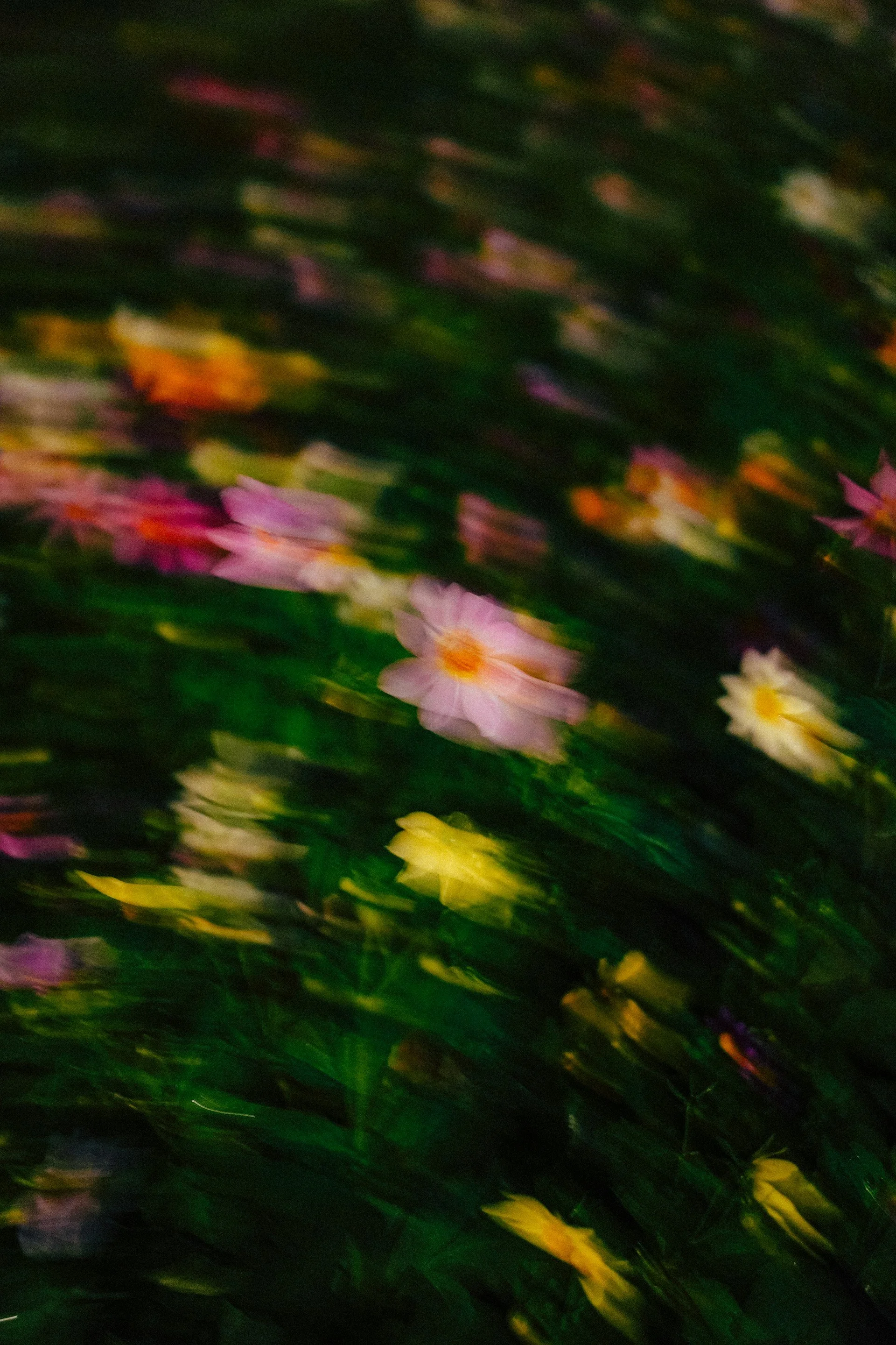 Colorful, abstract floral pattern with pink, yellow, and white flowers set against a dark green background, with a blurred motion effect.