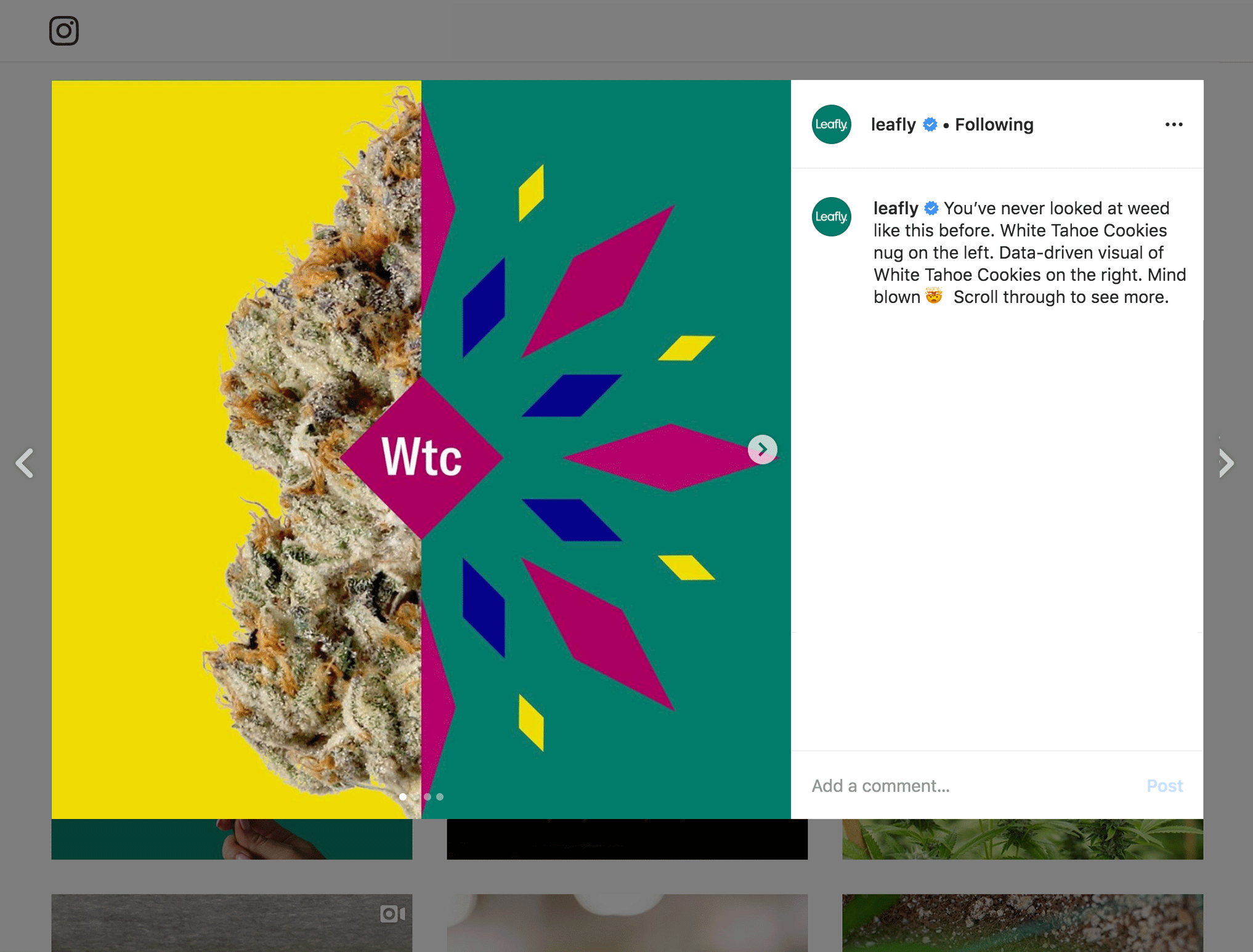 Leafly_Instagram_launch01a.gif