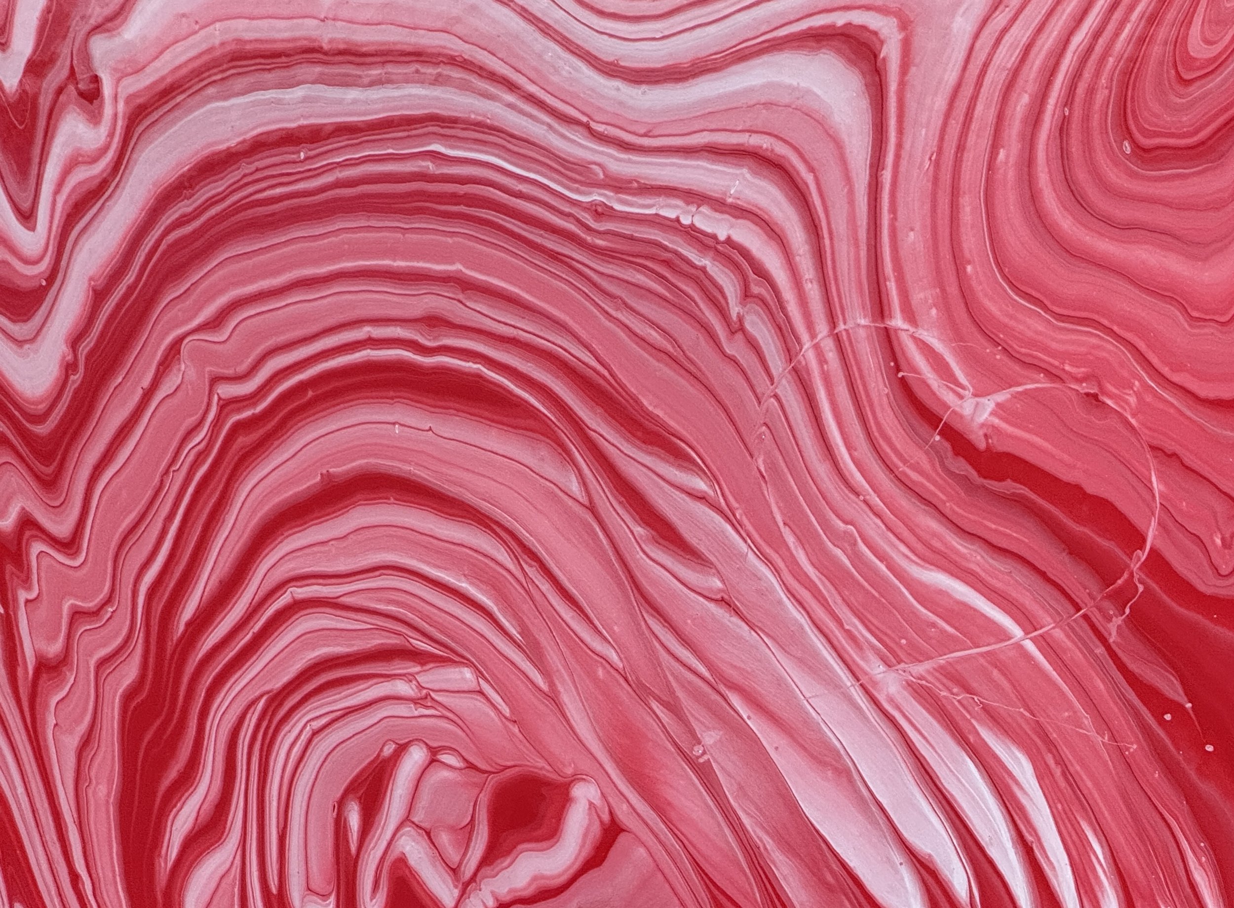 "Roses are Red" Greeting Card