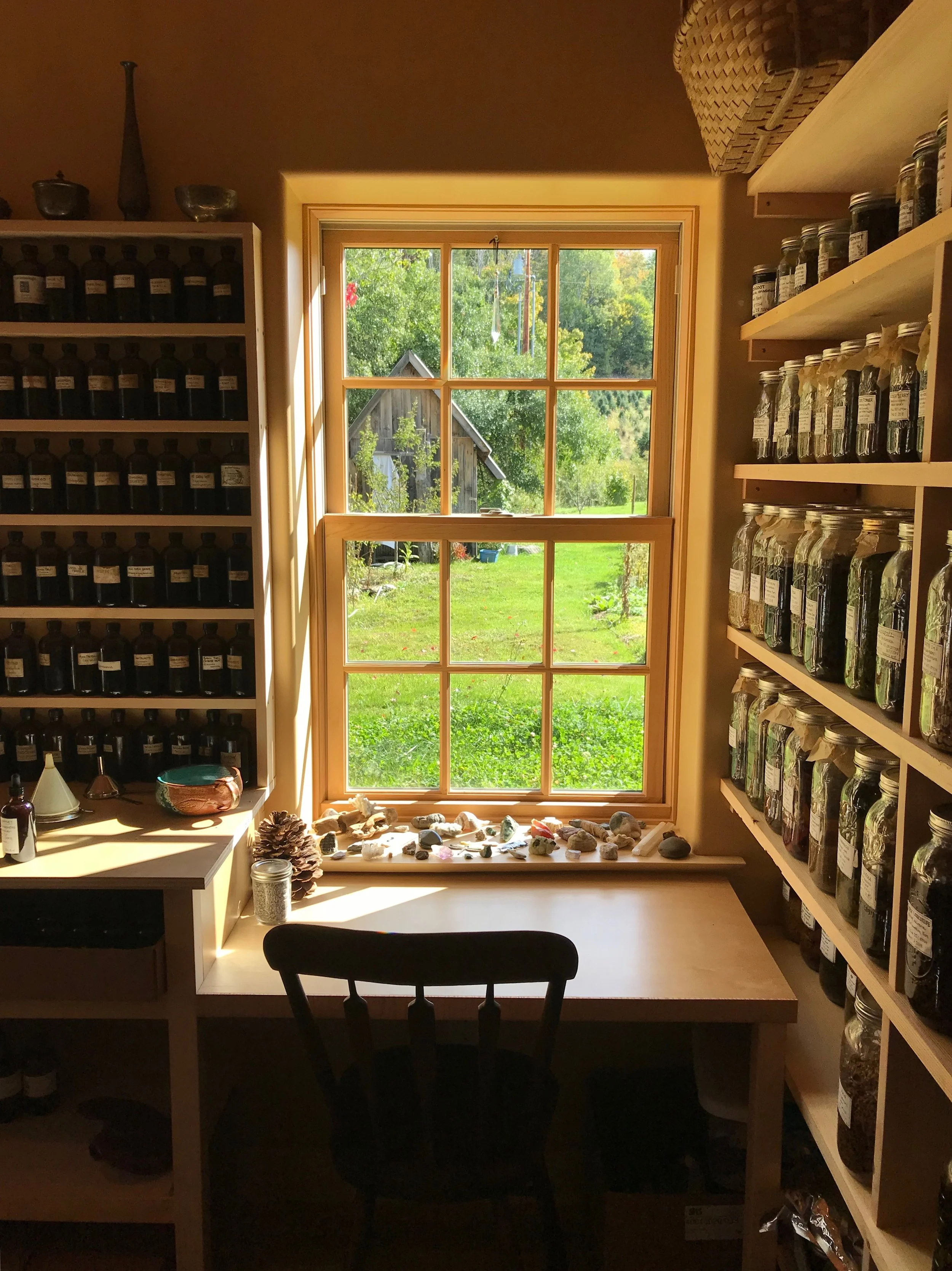 Herbal Approaches To Lyme Disease (Online- July 2)