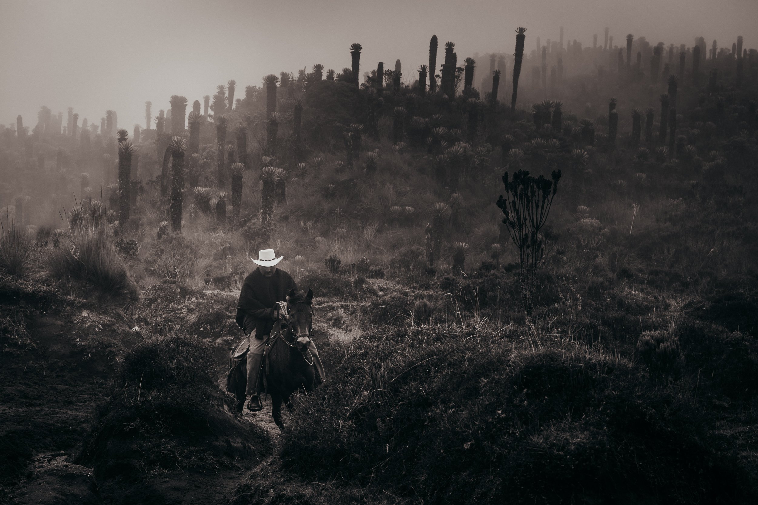 Campesino Desconocido